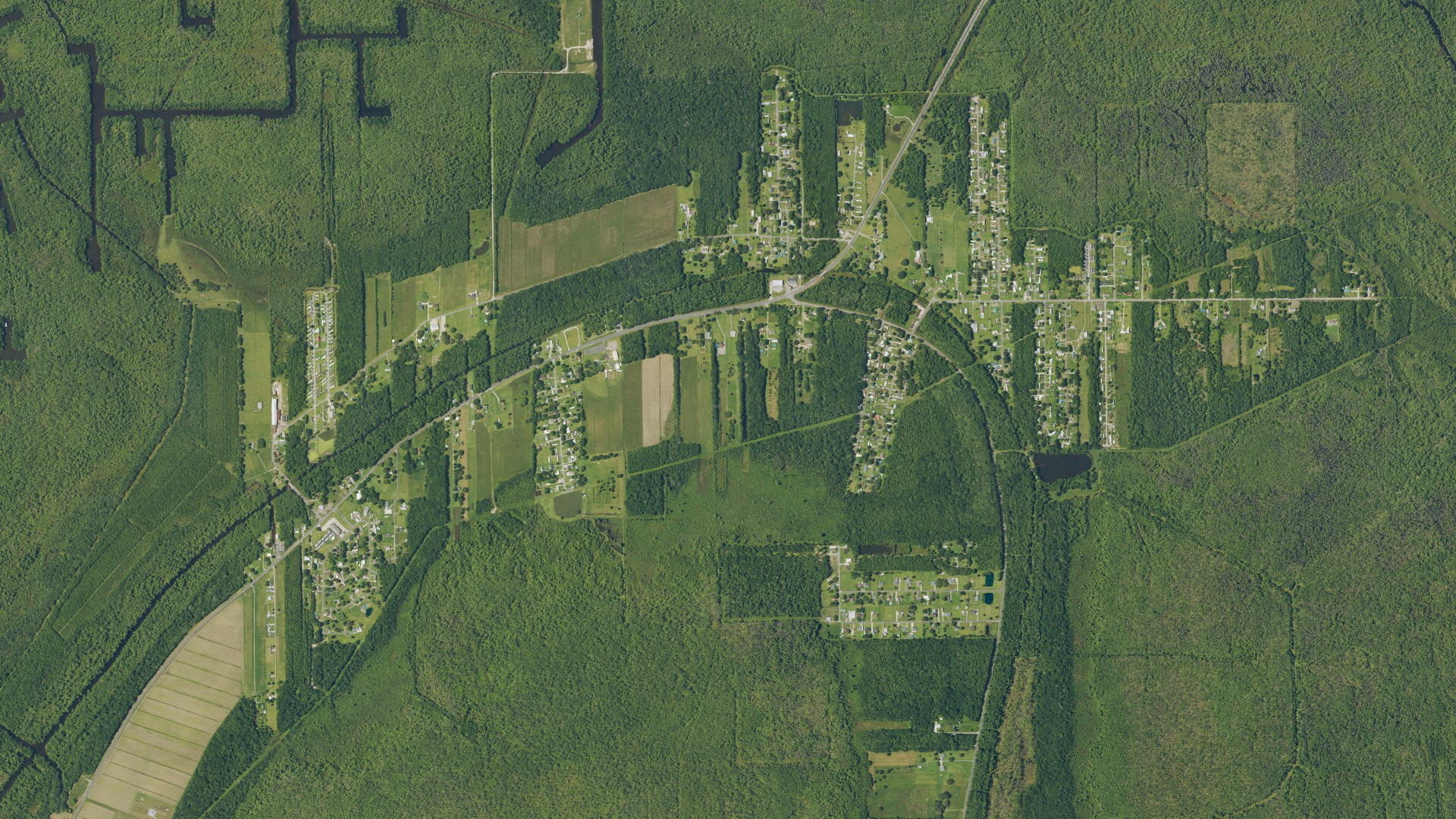 Natural-color aerial photograph of land around Bayou L'Ourse, Louisiana