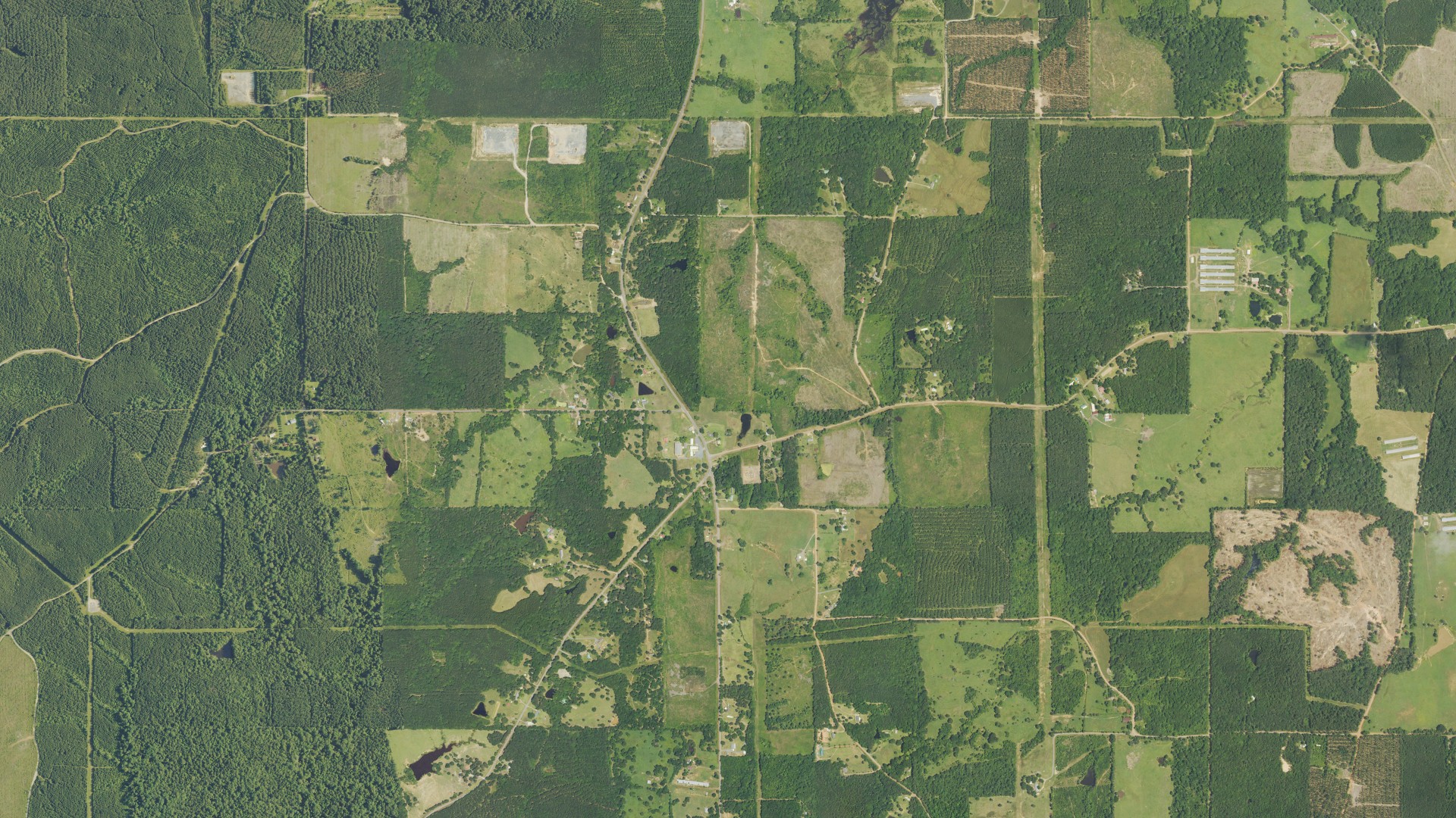 Natural-color aerial photograph of land around Belmont, Louisiana