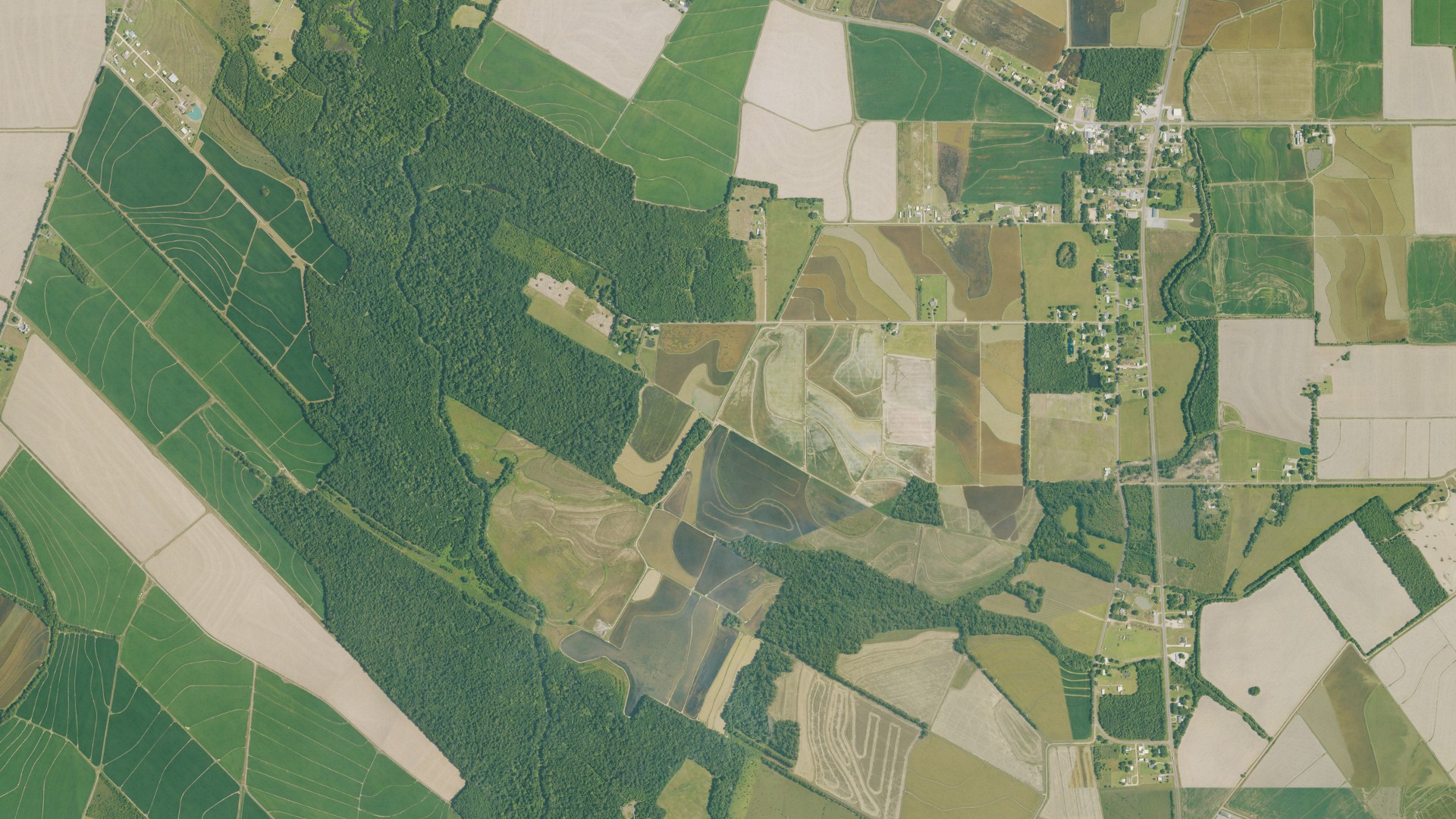 Natural-color aerial photograph of land around Branch, Louisiana