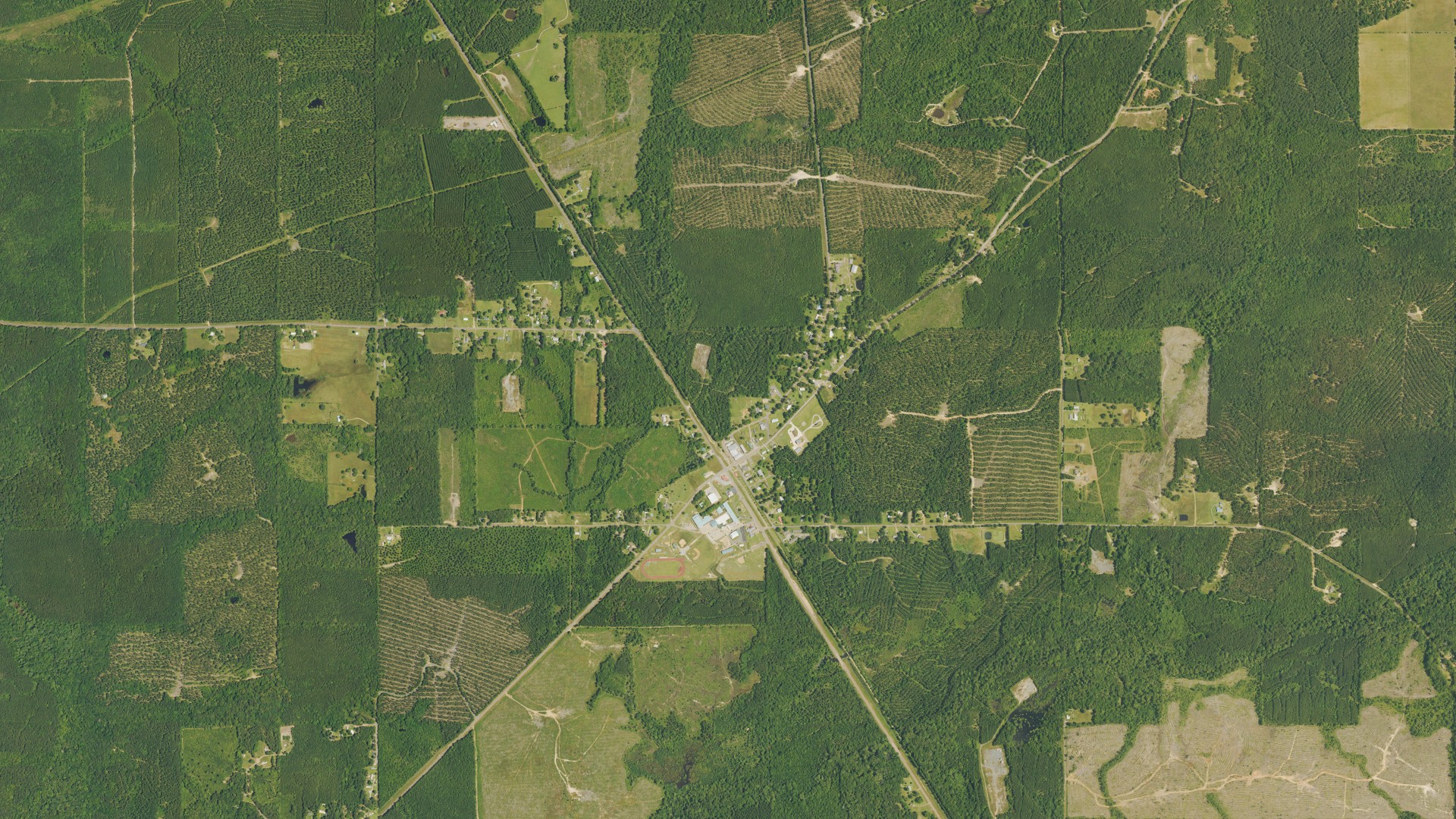 Natural-color aerial photograph of land around Castor, Louisiana