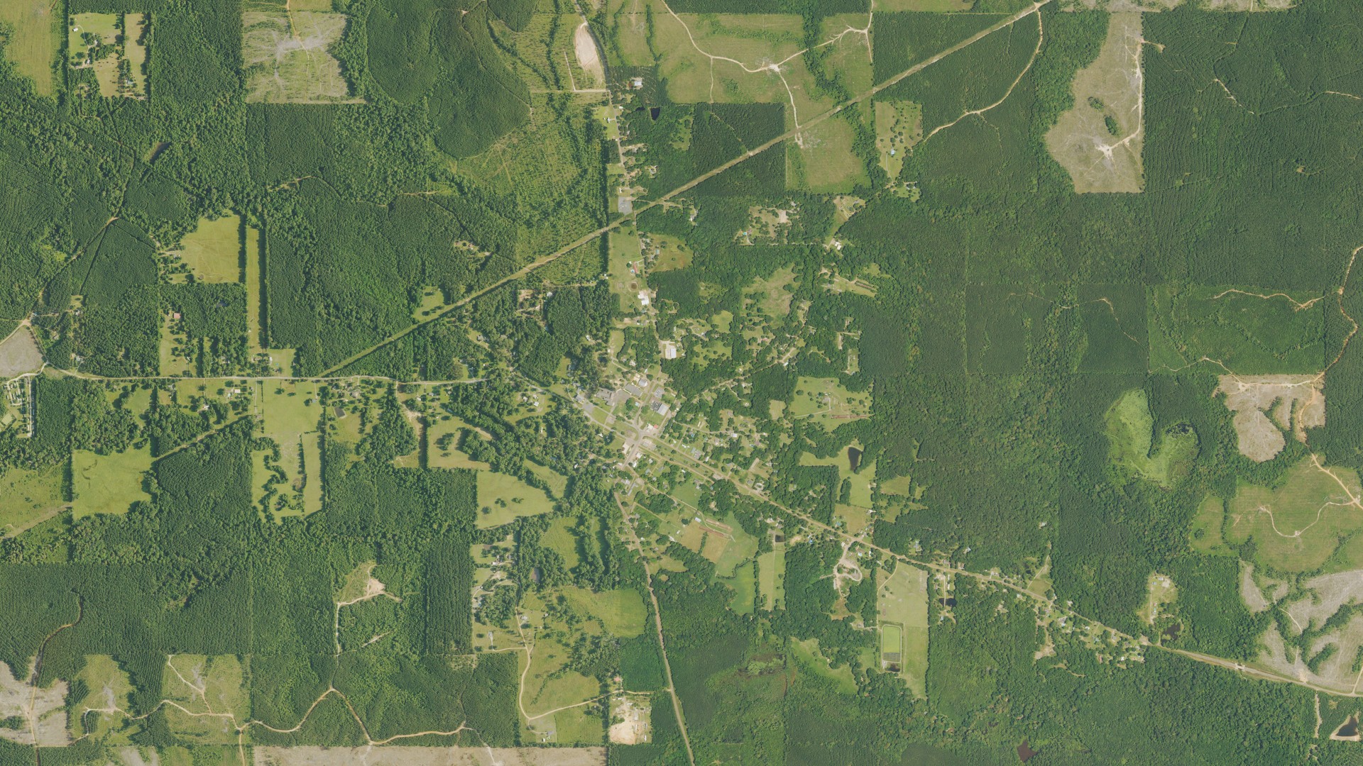 Natural-color aerial photograph of land around Provencal, Louisiana