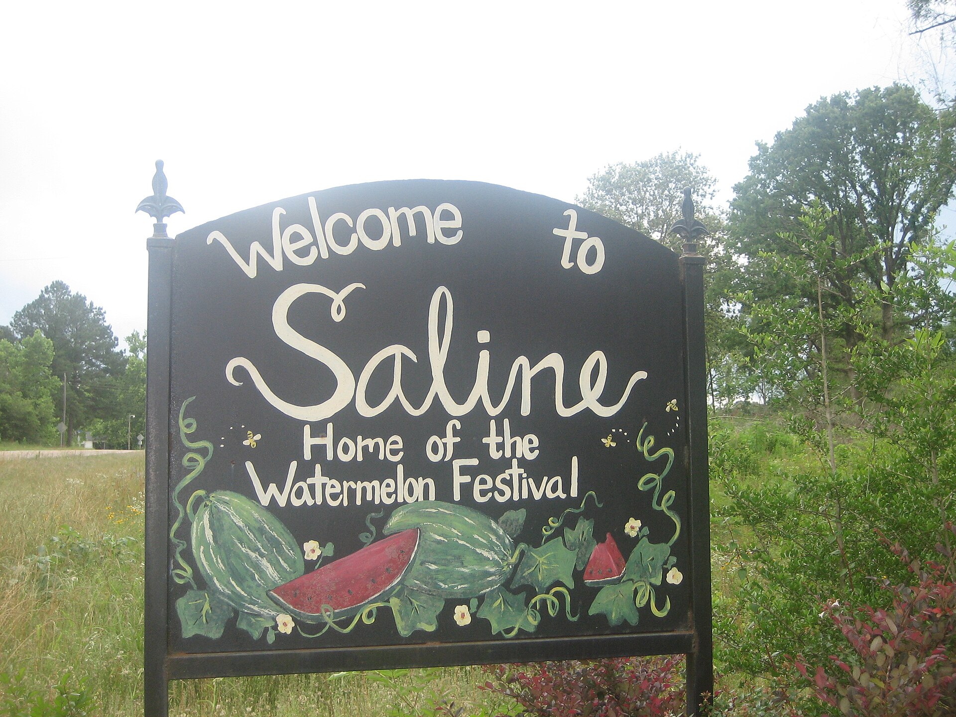 I took photo on May 24, 2009.Billy Hathorn (talk) 23:39, 29 May 2009 (UTC) — Saline, Louisiana
