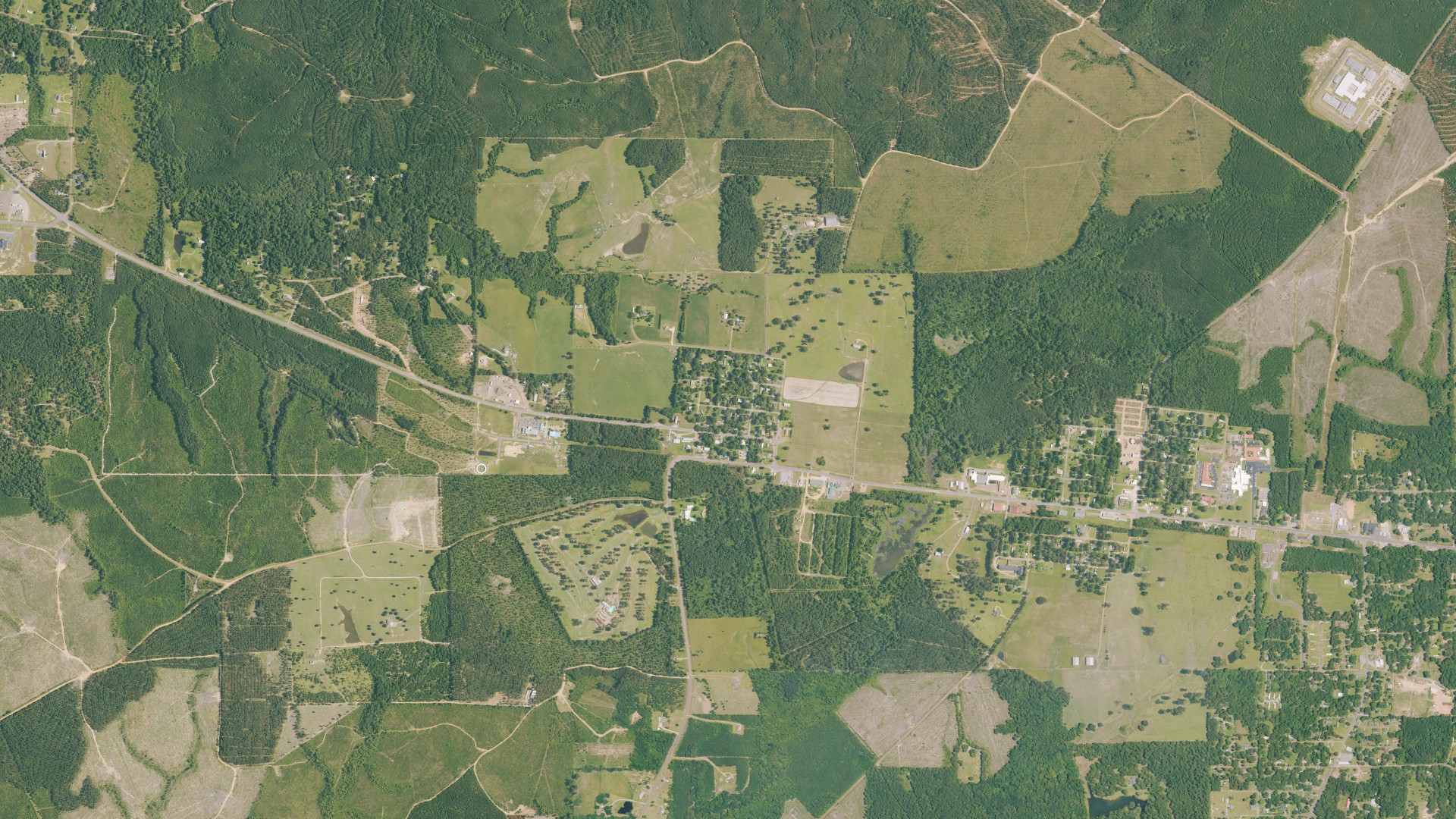 Natural-color aerial photograph of land around Trout, Louisiana