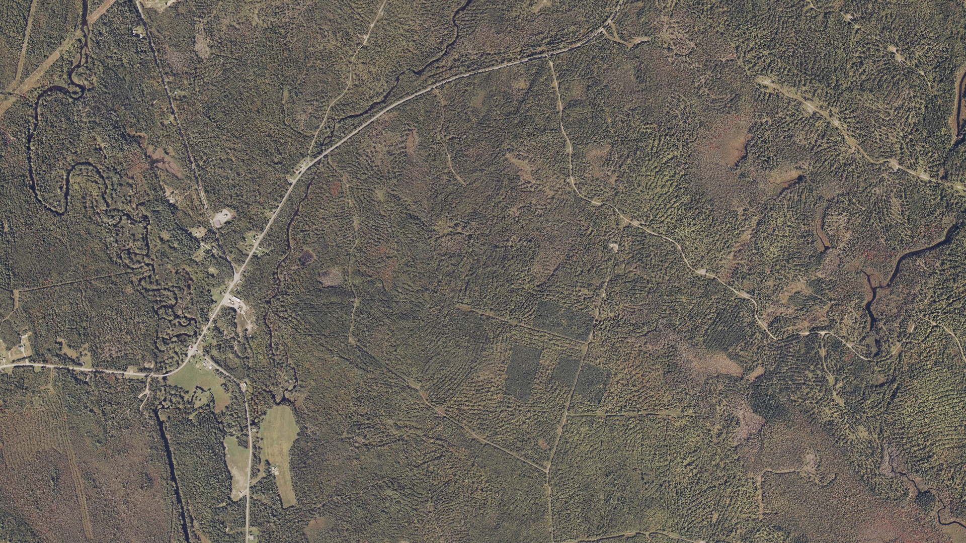 Natural-color aerial photograph of land around Macwahoc, Maine