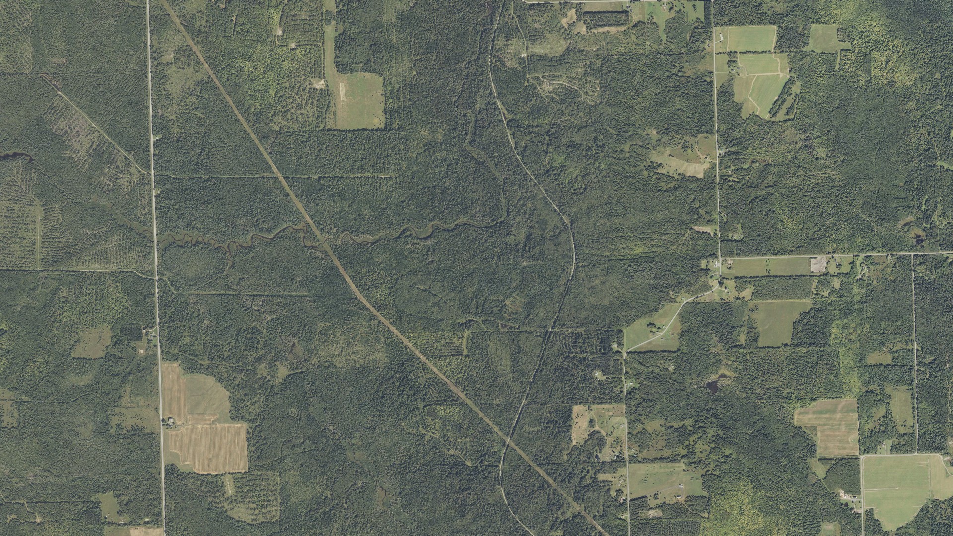 Natural-color aerial photograph of land around New Sweden, Maine