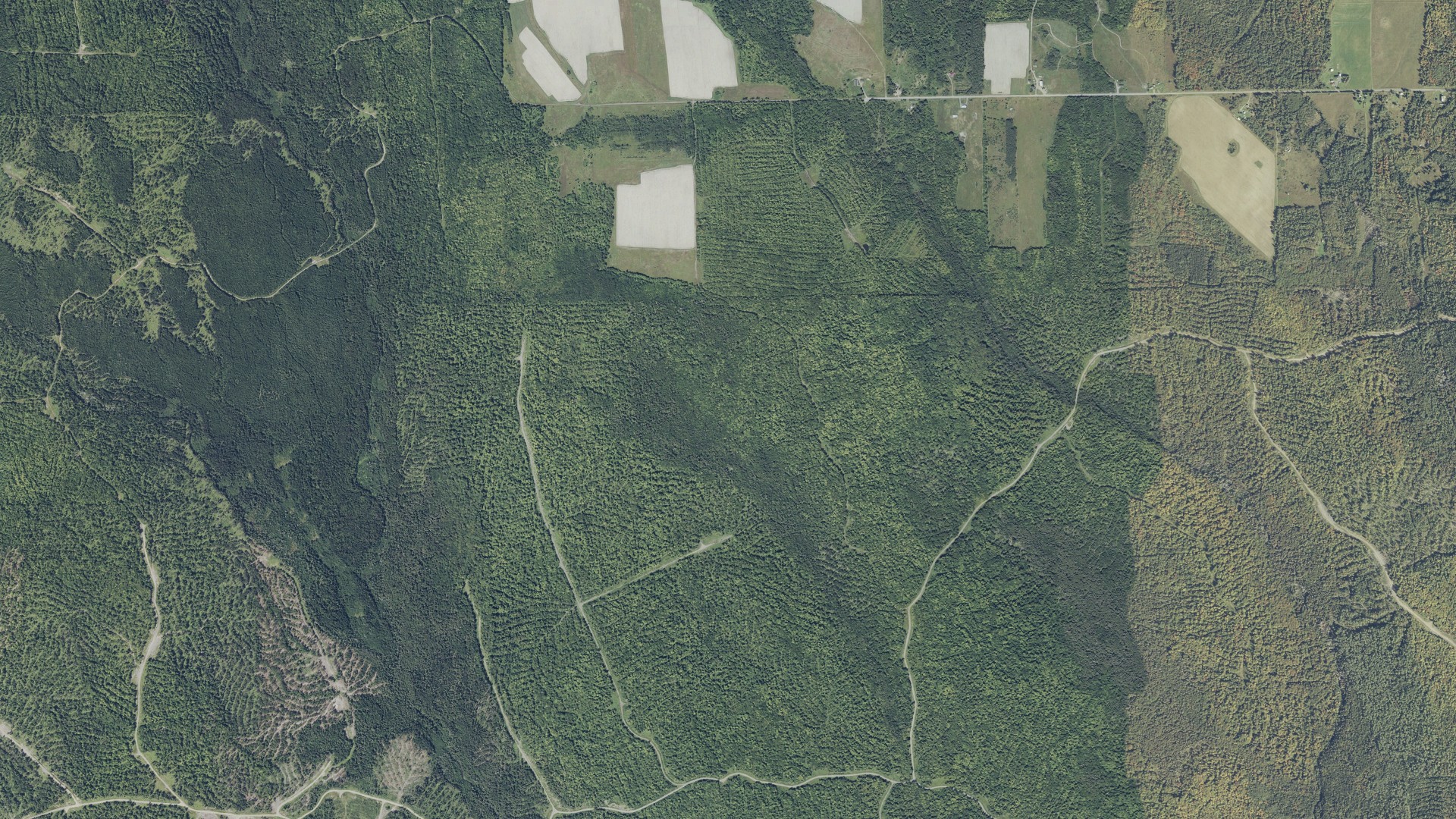 Natural-color aerial photograph of land around Wade, Maine