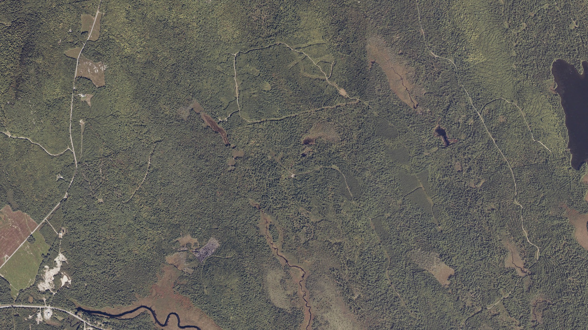 Natural-color aerial photograph of land around Aurora, Maine