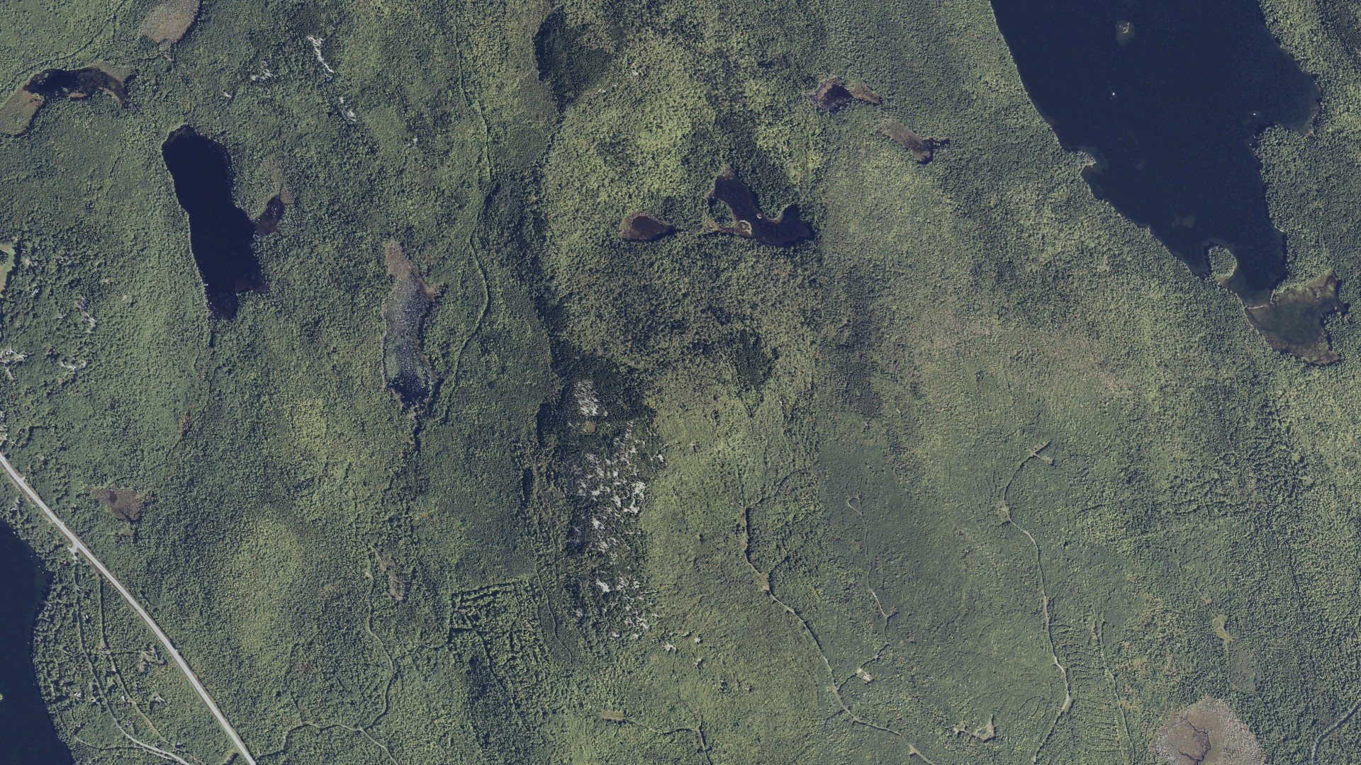 Natural-color aerial photograph of land around Dedham, Maine