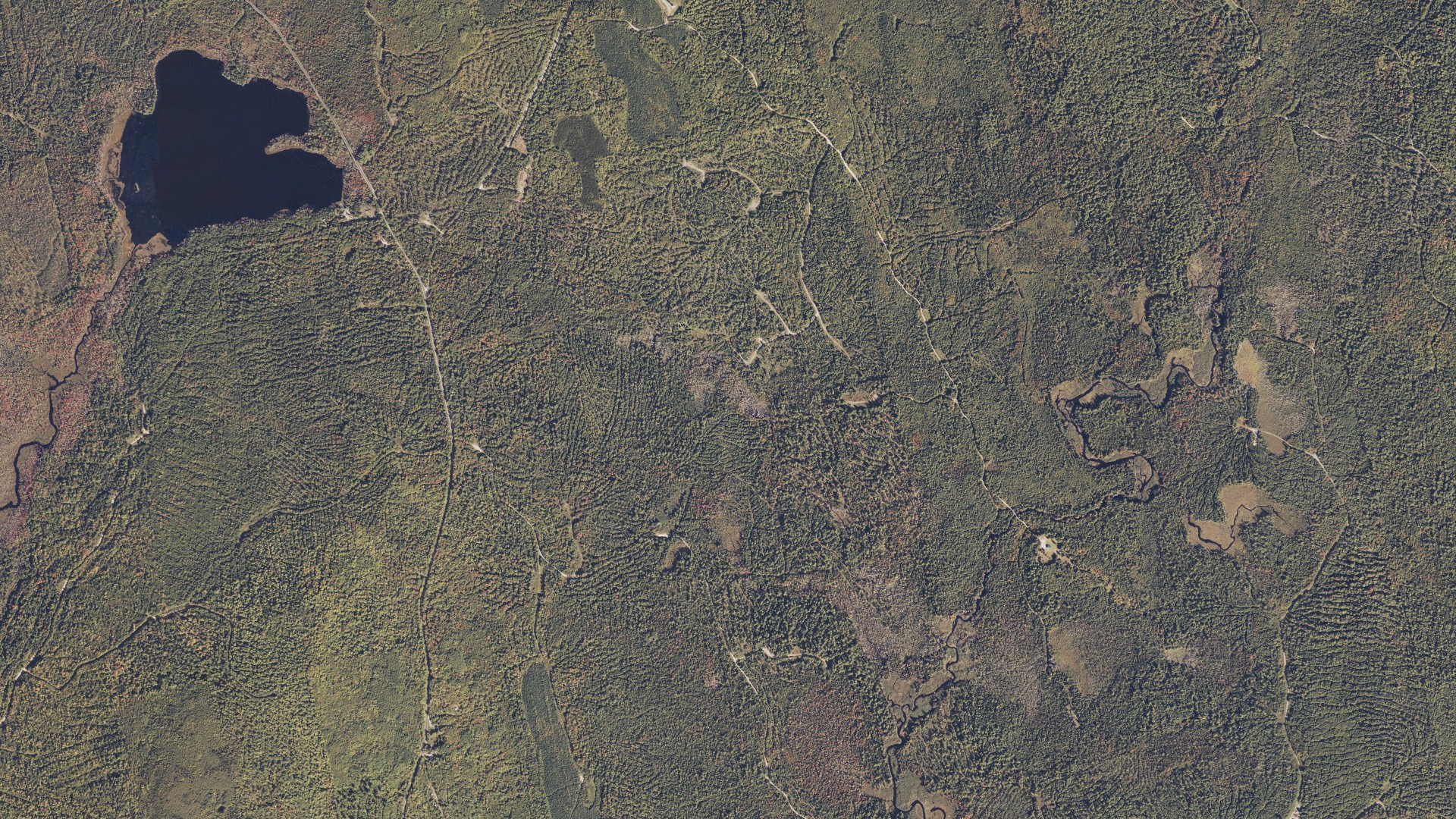 Natural-color aerial photograph of land around Burlington, Maine