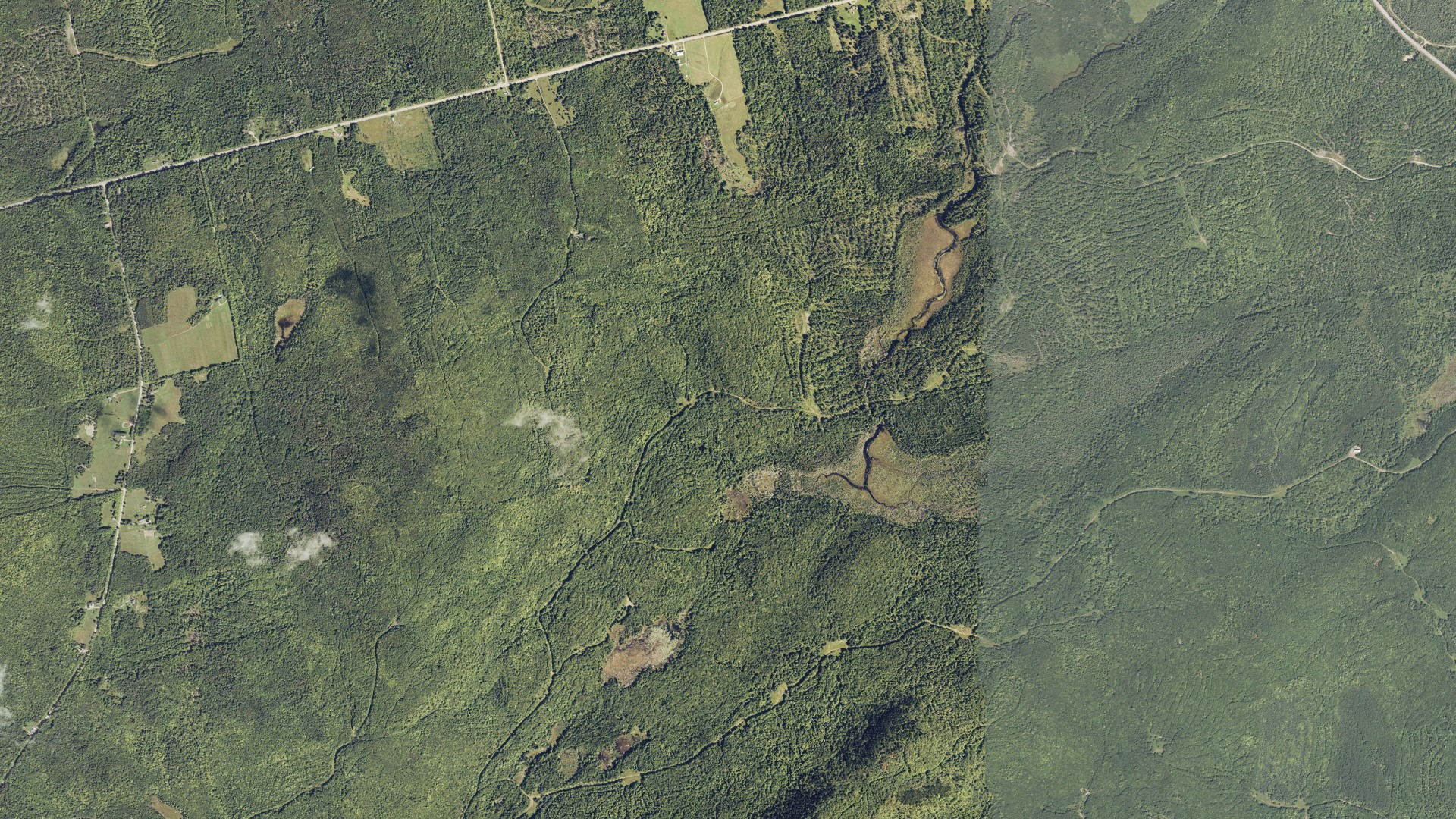 Natural-color aerial photograph of land around Carroll, Maine