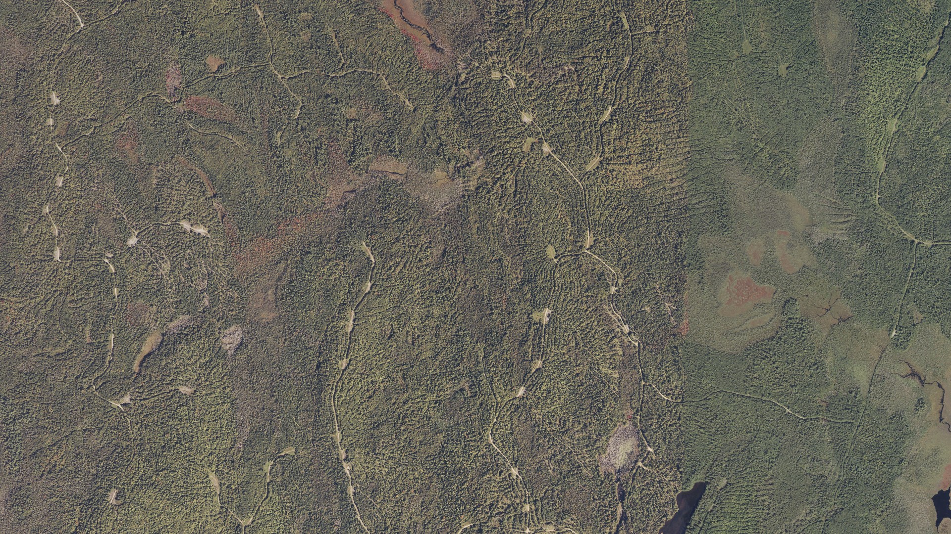 Natural-color aerial photograph of land around Webster, Maine