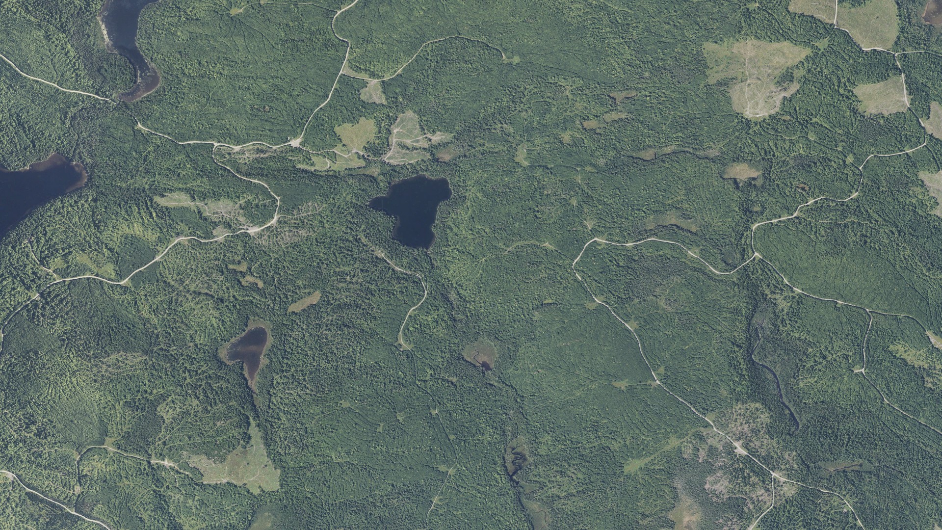 Natural-color aerial photograph of land around Bowerbank, Maine