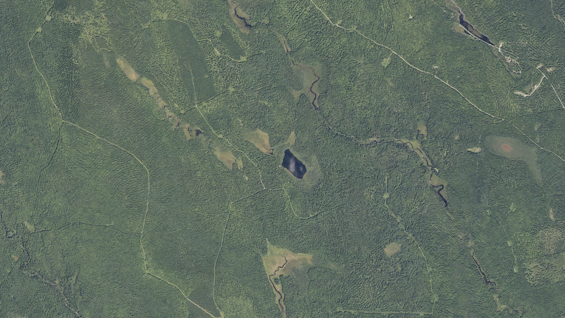 Natural-color aerial photograph of land around Medford, Maine
