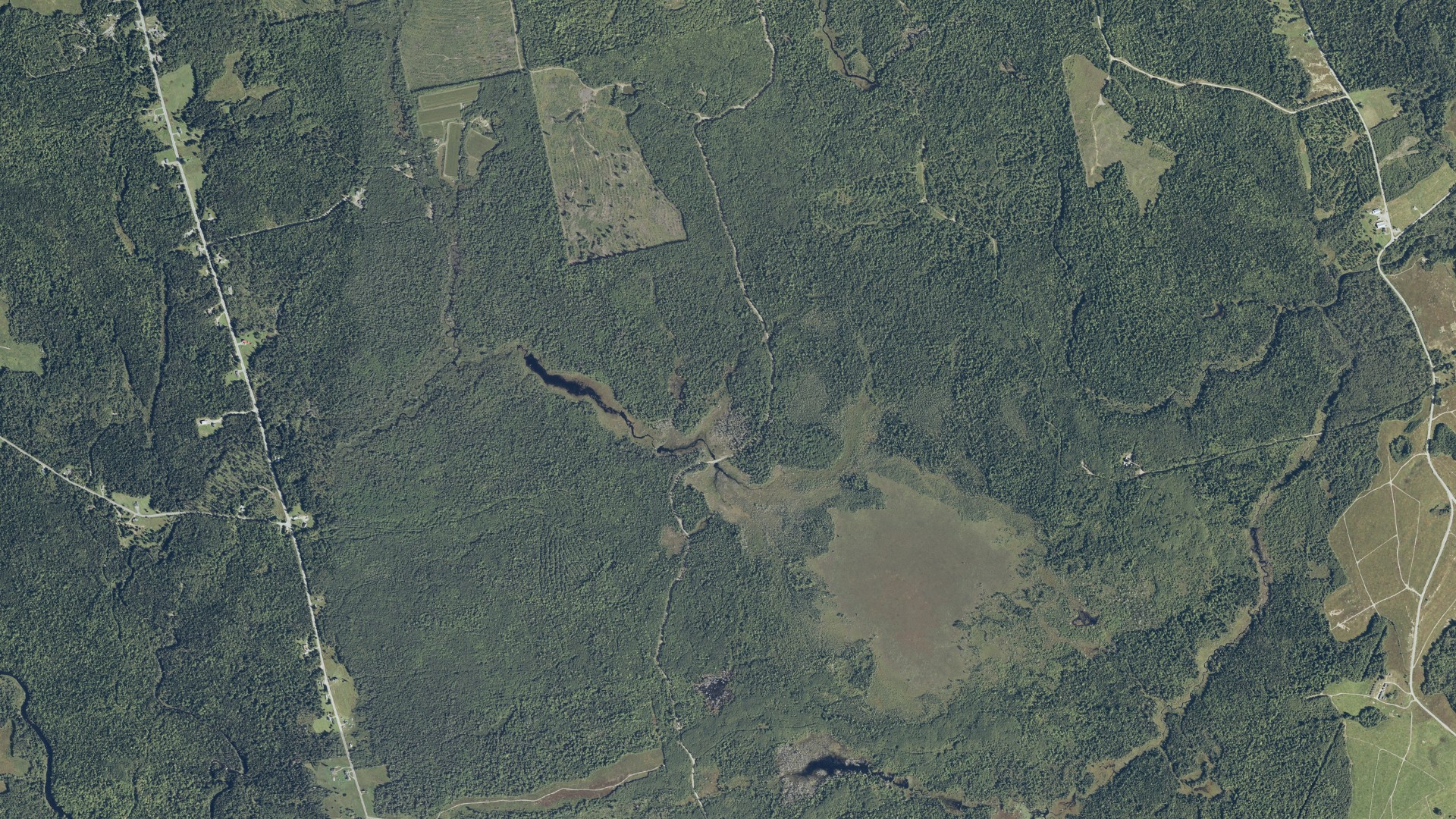 Natural-color aerial photograph of land around Columbia Falls, Maine