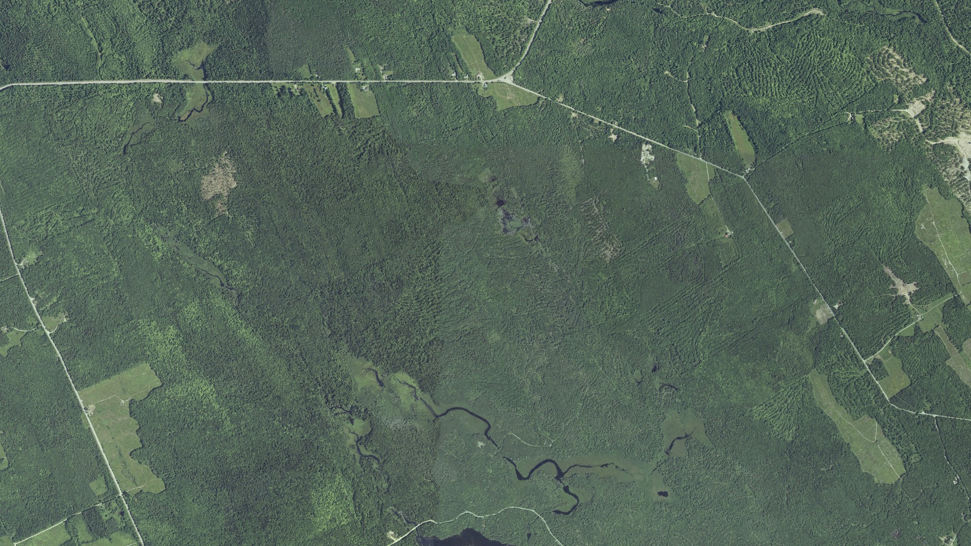Natural-color aerial photograph of land around Cooper, Maine
