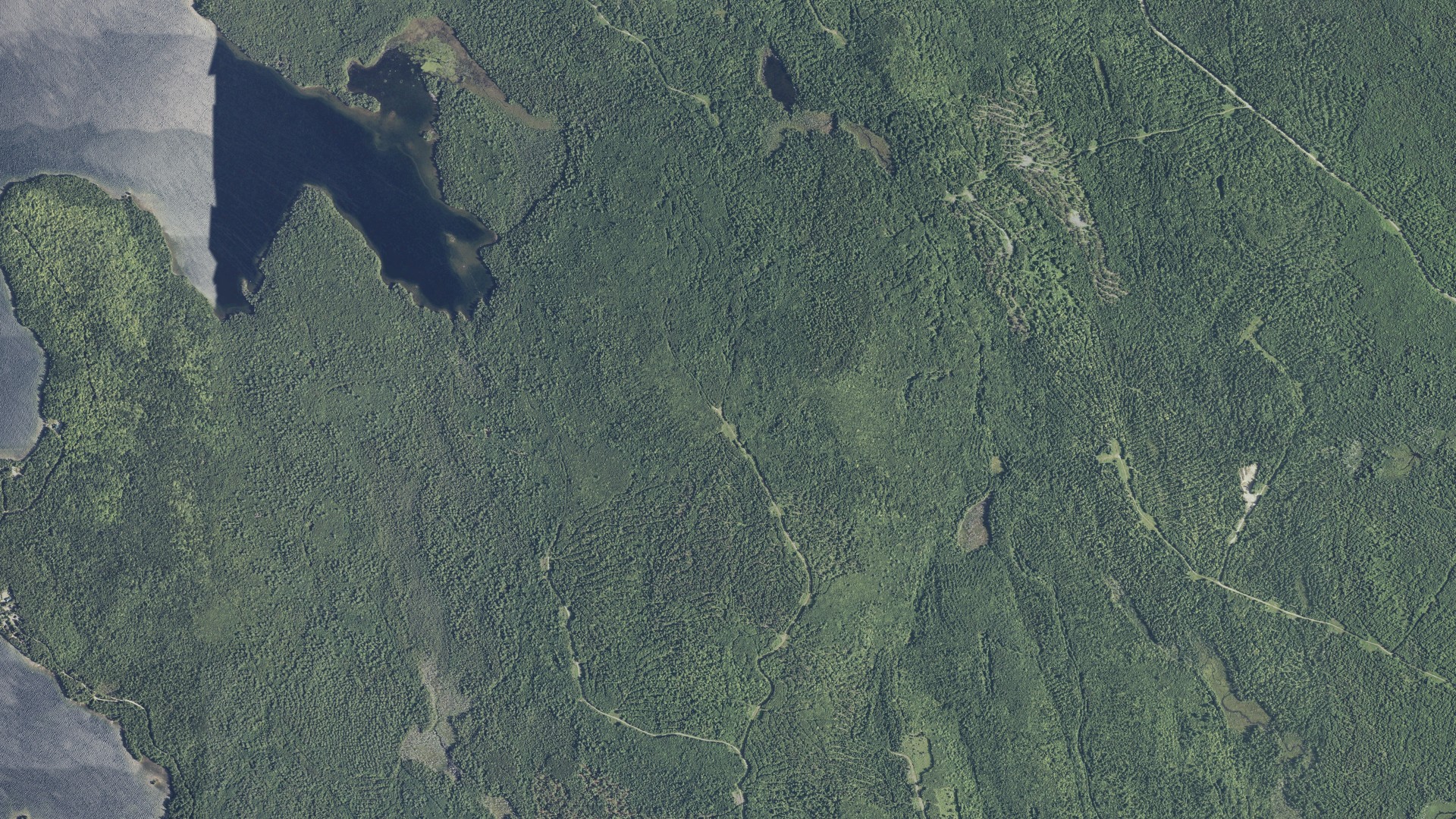 Natural-color aerial photograph of land around Grand Lake Stream, Maine