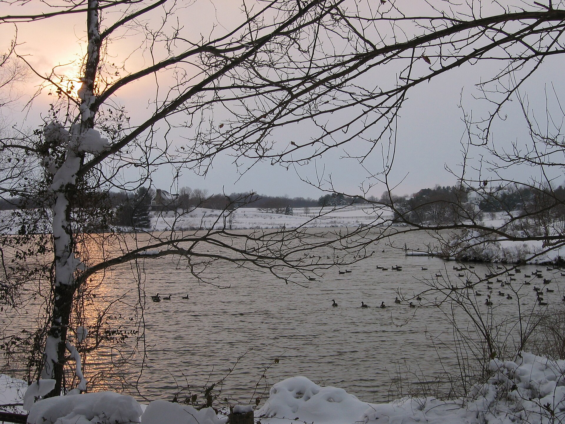 Rural pond area, near Rachel Carson Conservation Park, in northeast Montgomery County, Maryland. — Laytonsville, Maryland