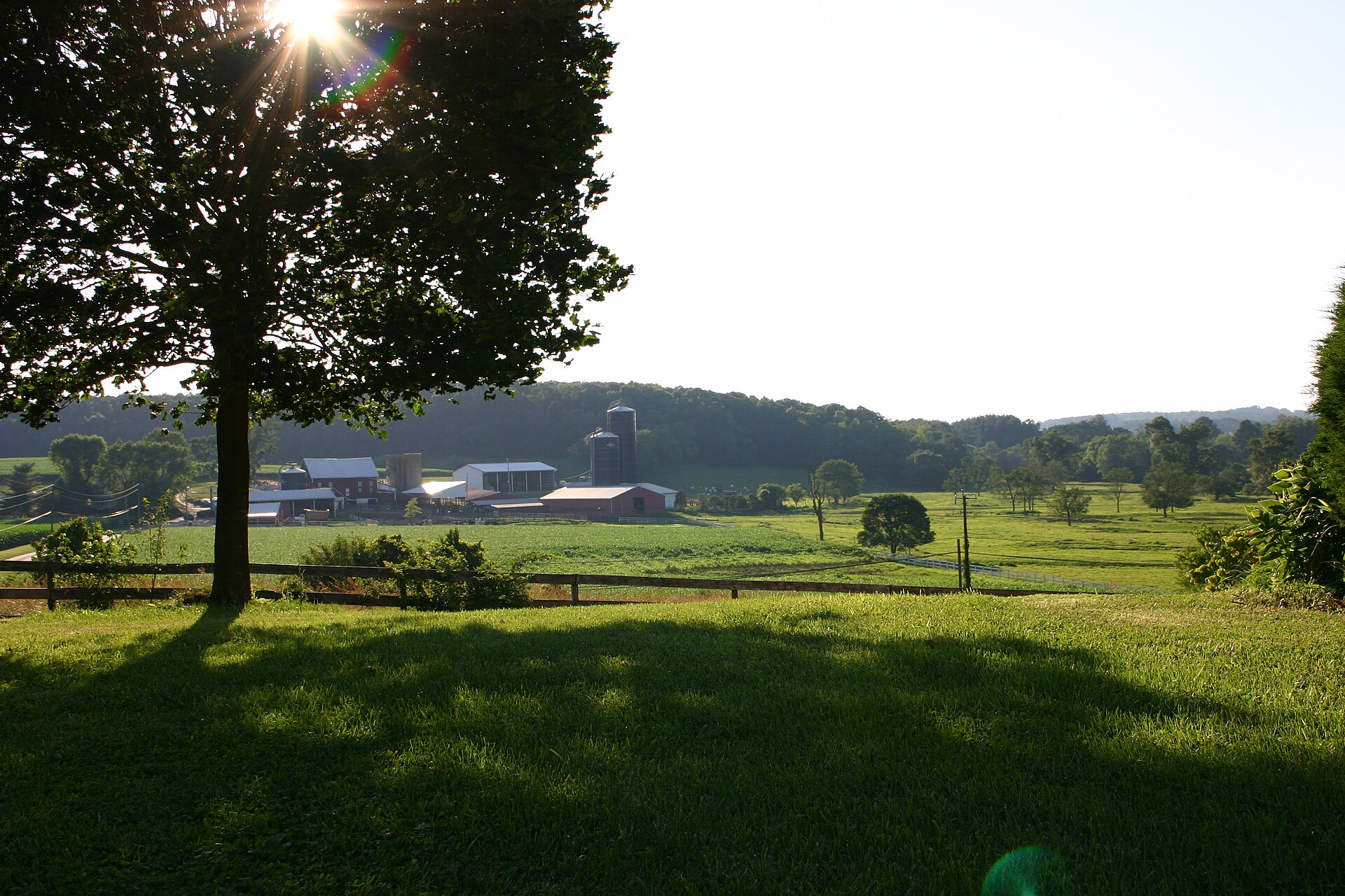 Dairy farm in Lisbon, Maryland on Daisy Road. I took this picture.