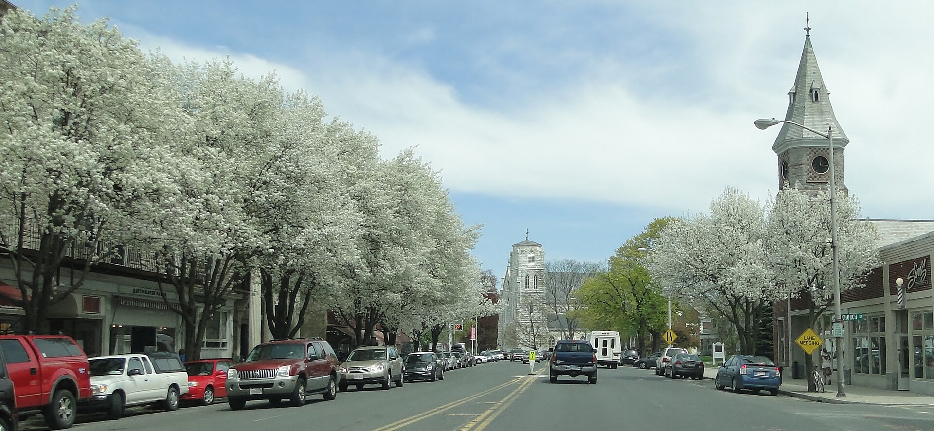 Main Street, Great Barrington, Massachusetts, in the spring of 2011. These impressive flowering pear trees were removed around 2015, during the Main Street Reconstruction Project.