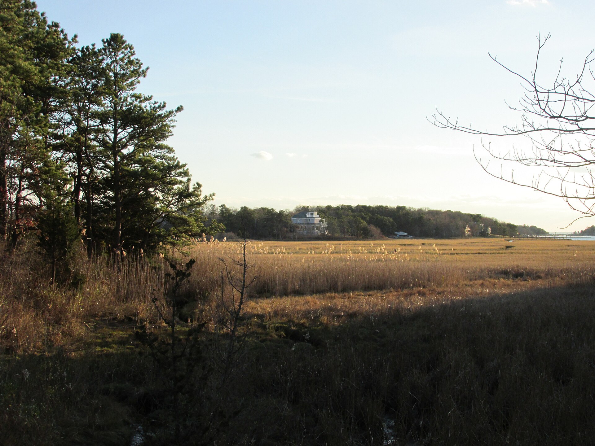 Monomoscoy Island, Mashpee Massachusetts