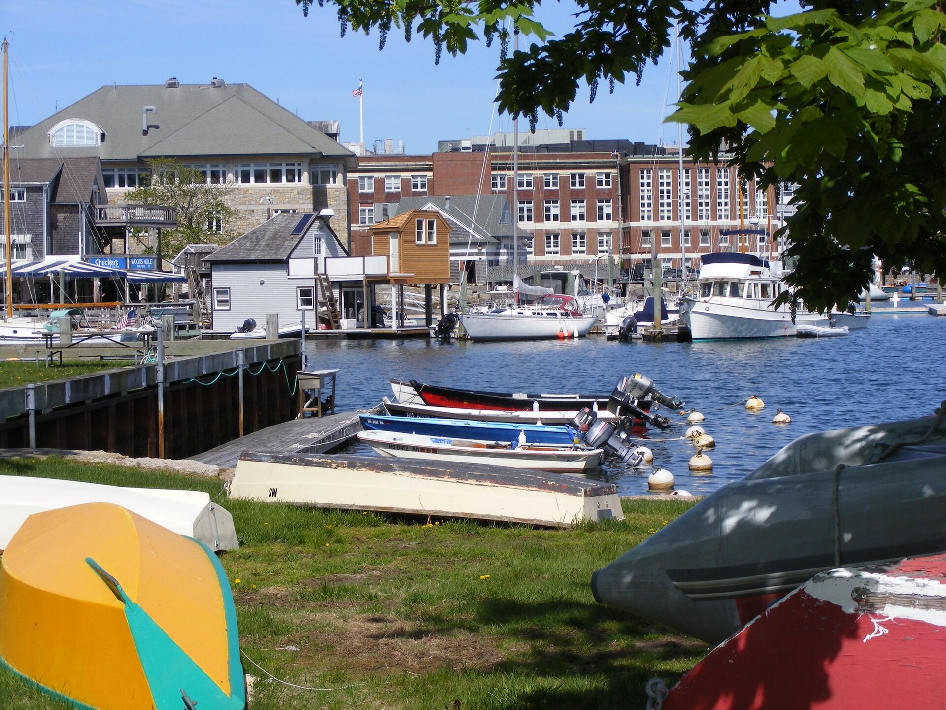 Marine Biological Laboratory, Woods Hole, Massachusetts.