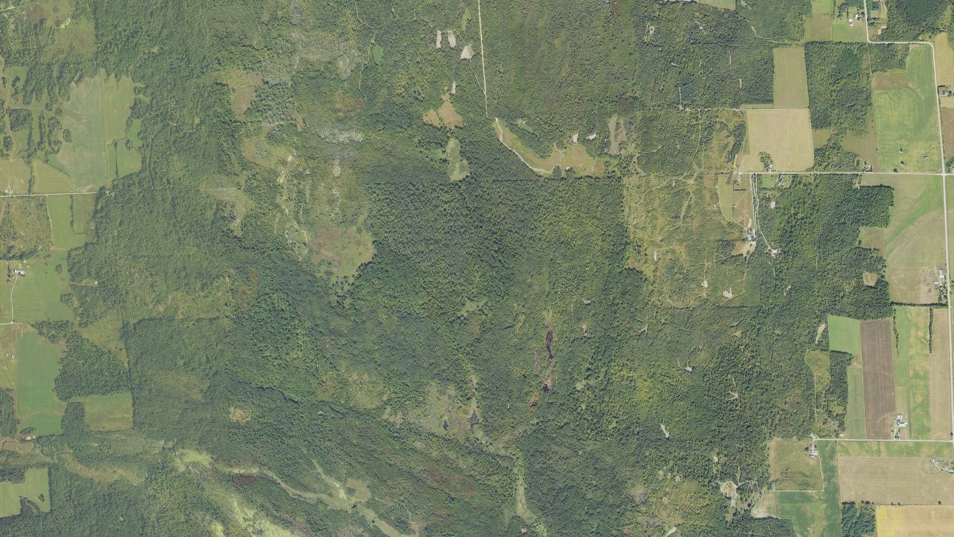 Aerial view of land around Wellington, Michigan