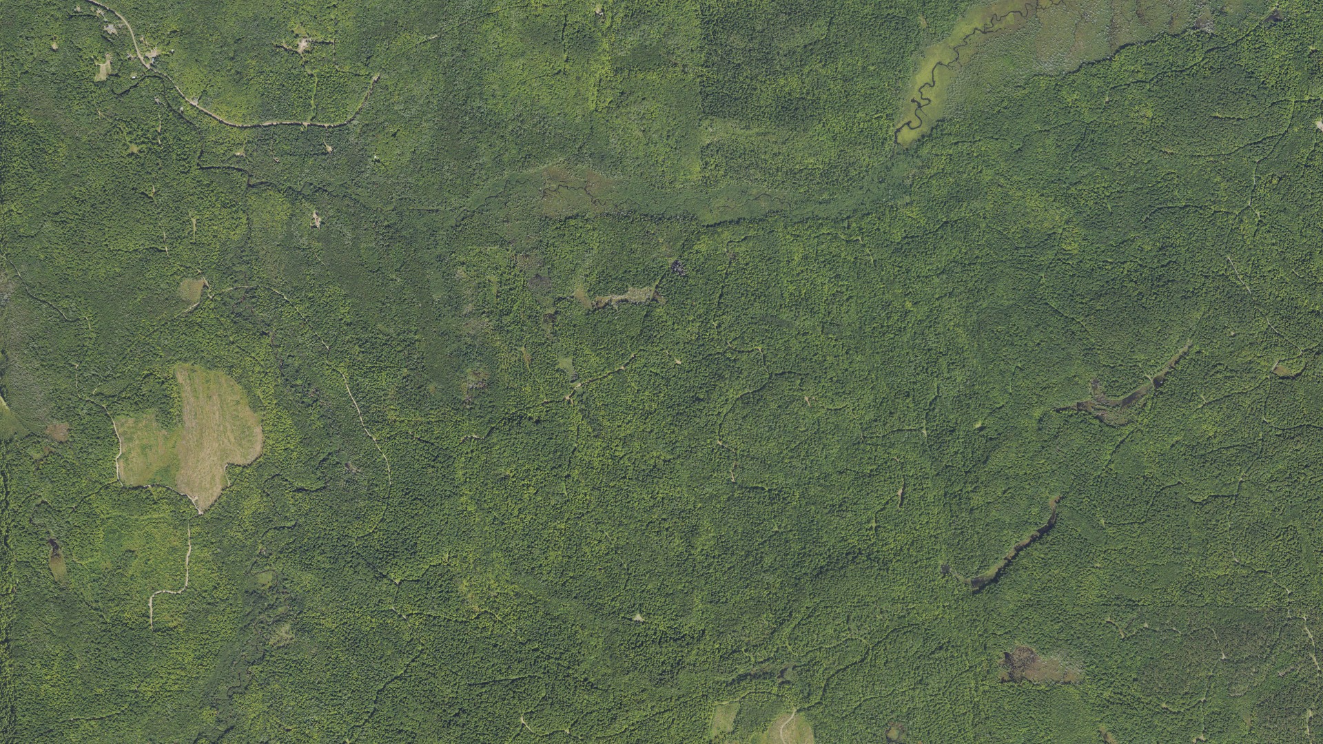 Natural-color aerial photograph of land around L'Anse, Michigan