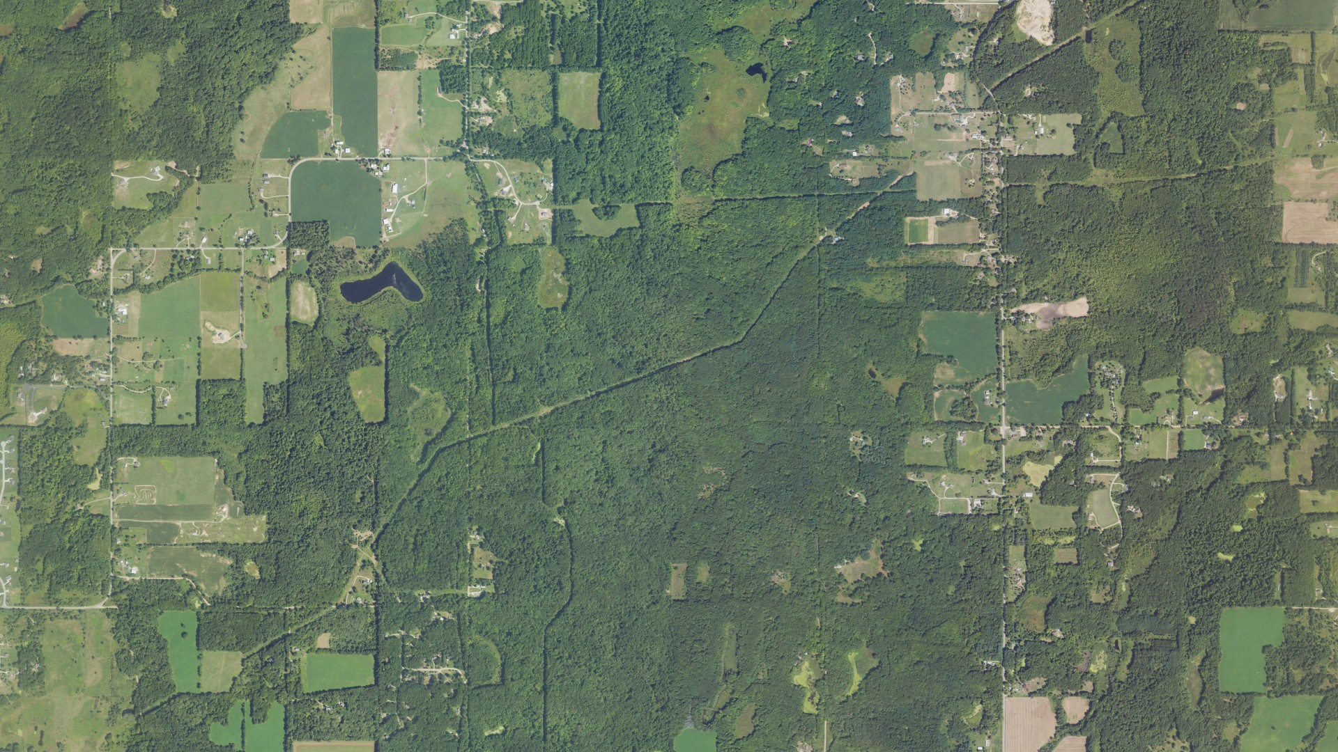 Natural-color aerial photograph of land around Irving, Michigan