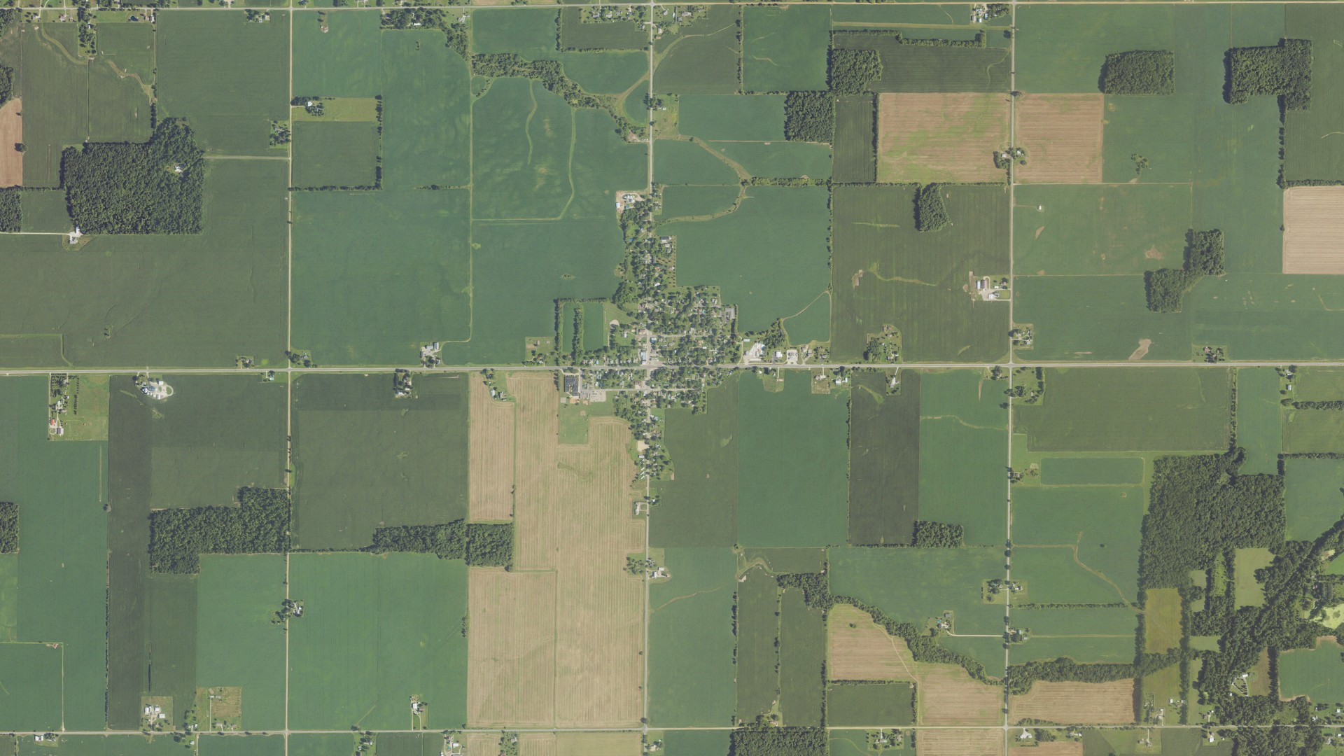 Aerial view of land around Woodland, Michigan