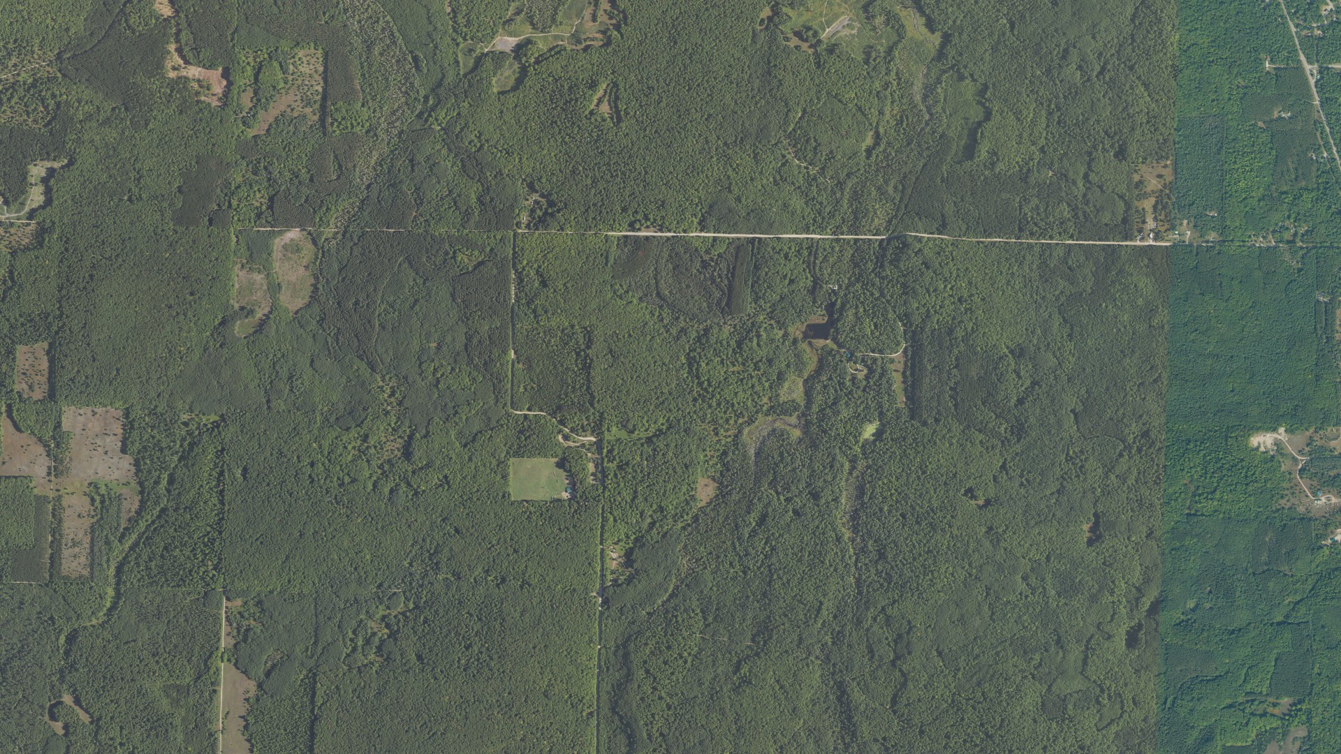 Aerial view of land around Mentor, Michigan