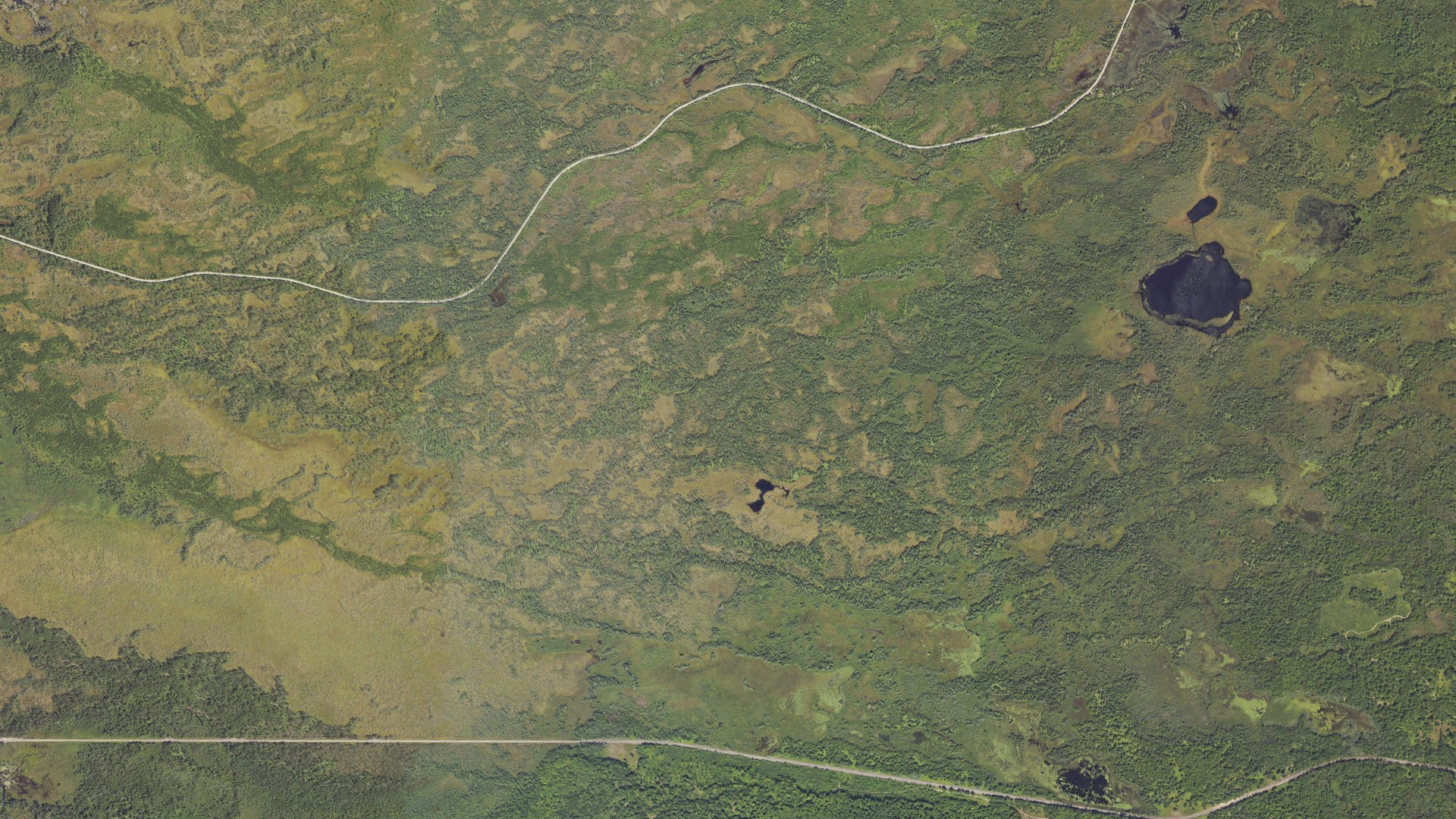 Natural-color aerial photograph of land around Trout Lake, Michigan