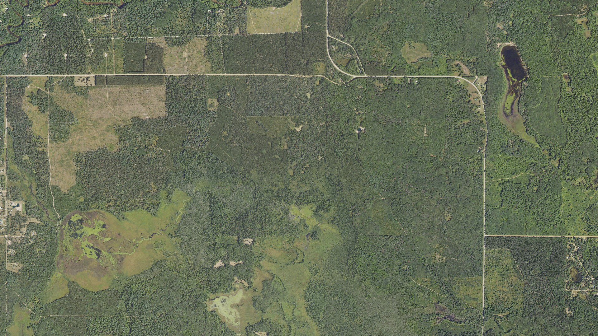 Aerial view of land around Summerfield, Michigan
