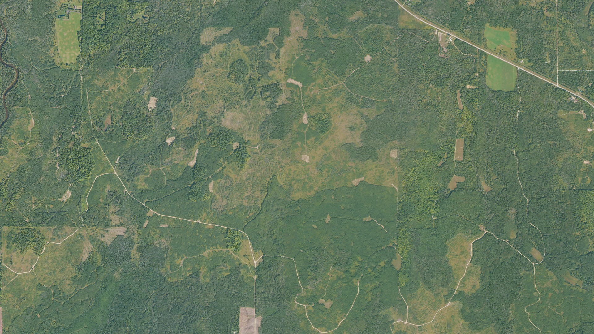 Aerial view of land around Cornell, Michigan