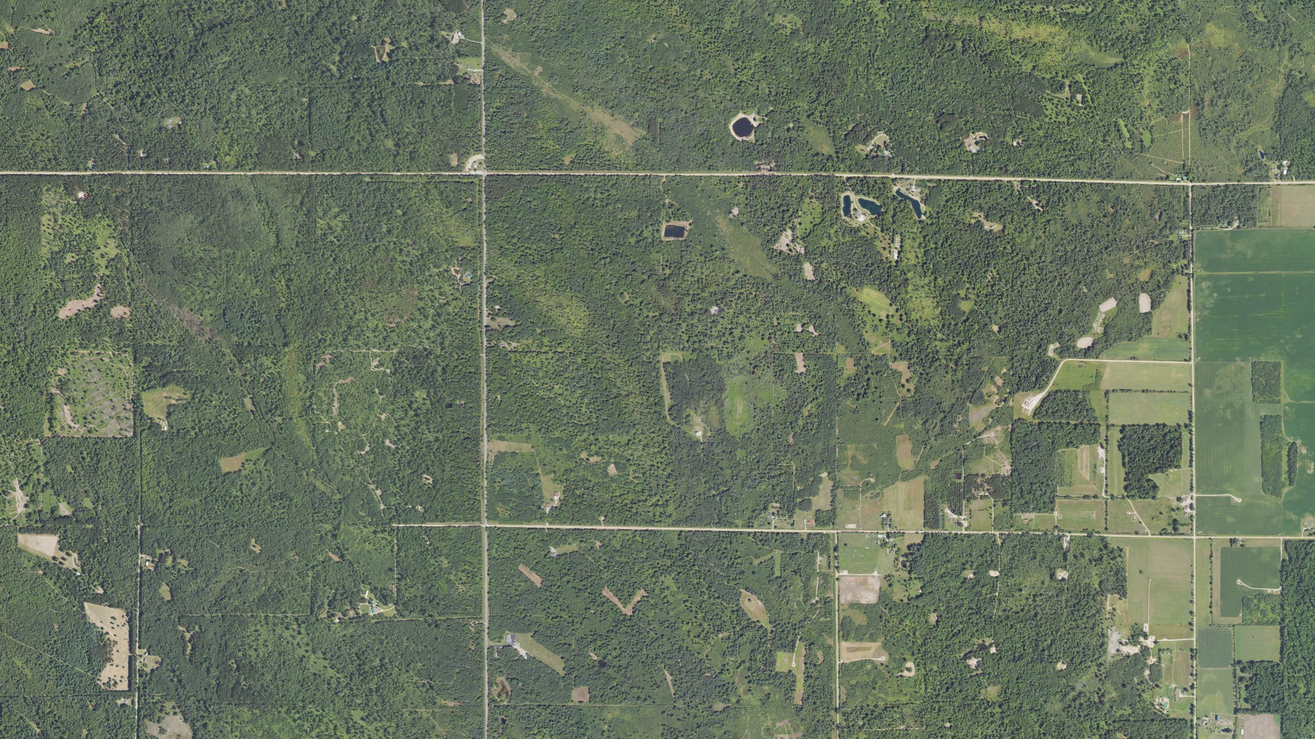 Aerial view of land around Buckeye, Michigan