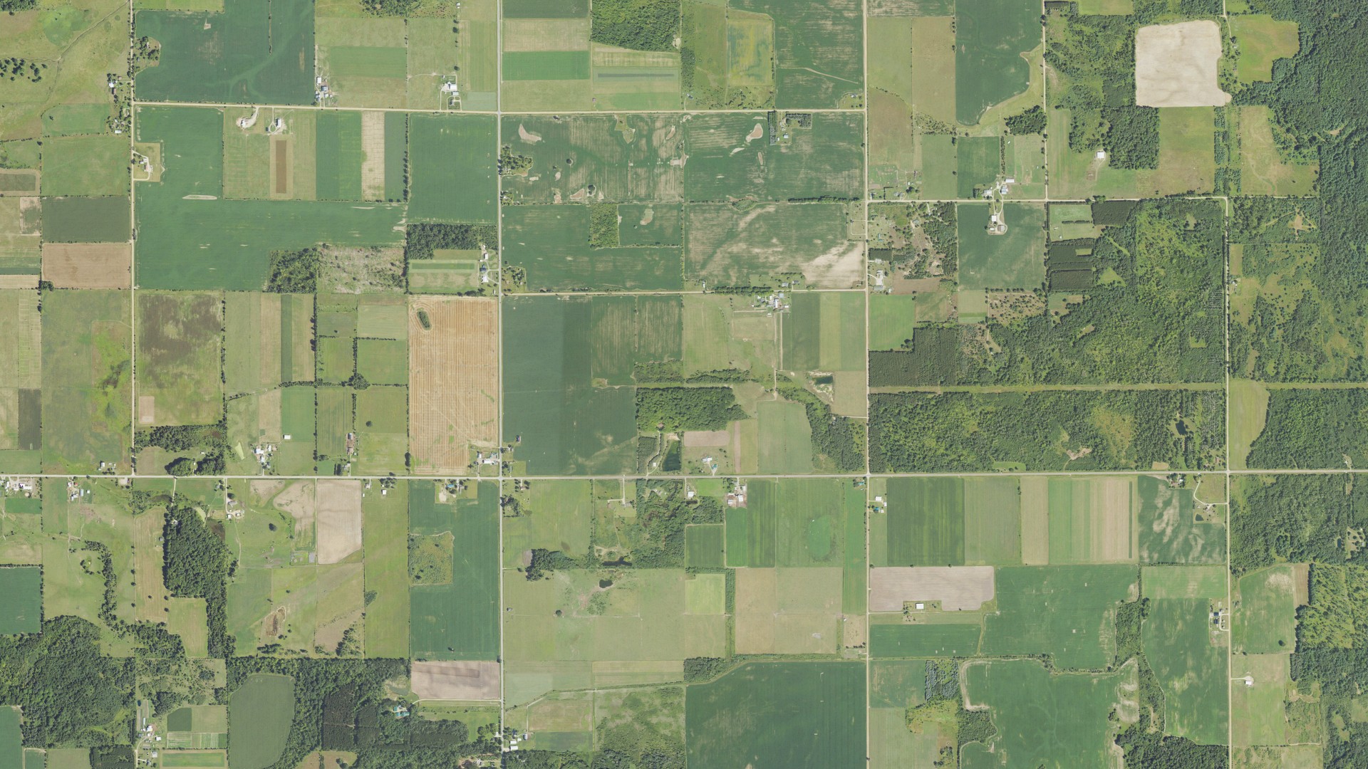 Aerial view of land around Gladwin, Michigan