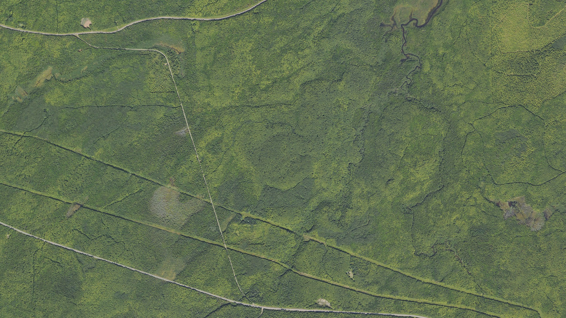 Natural-color aerial photograph of land around Marenisco, Michigan
