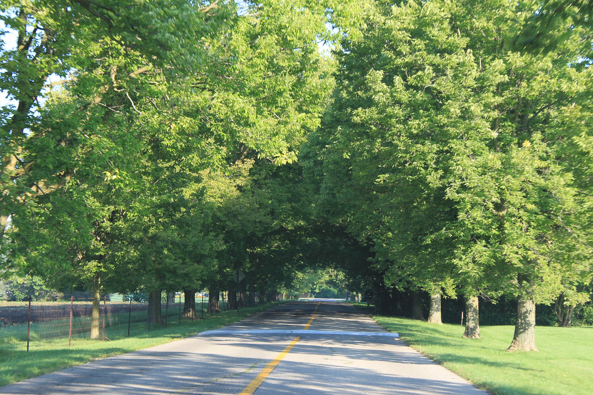Barton Shore Drive, Barton Hills, Michigan.