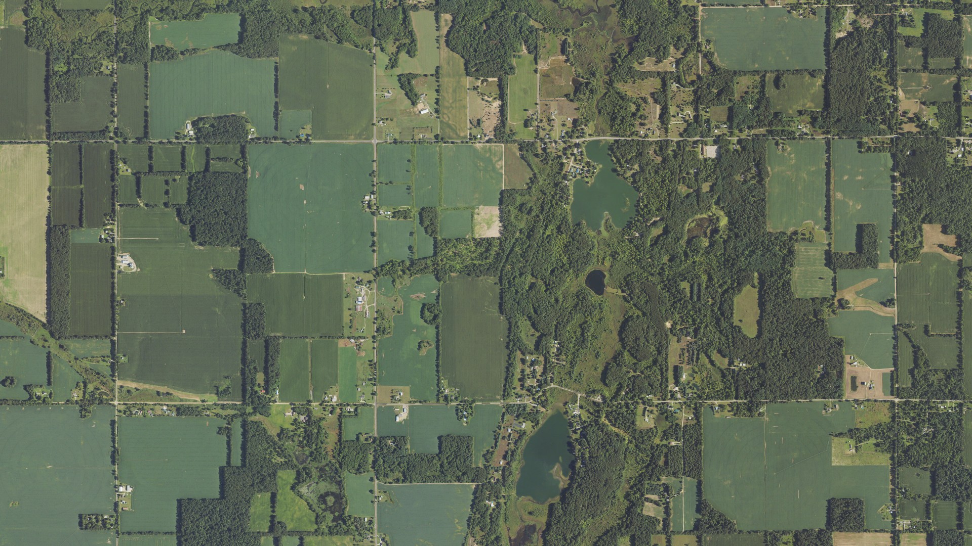 Natural-color aerial photograph of land around Scipio, Michigan