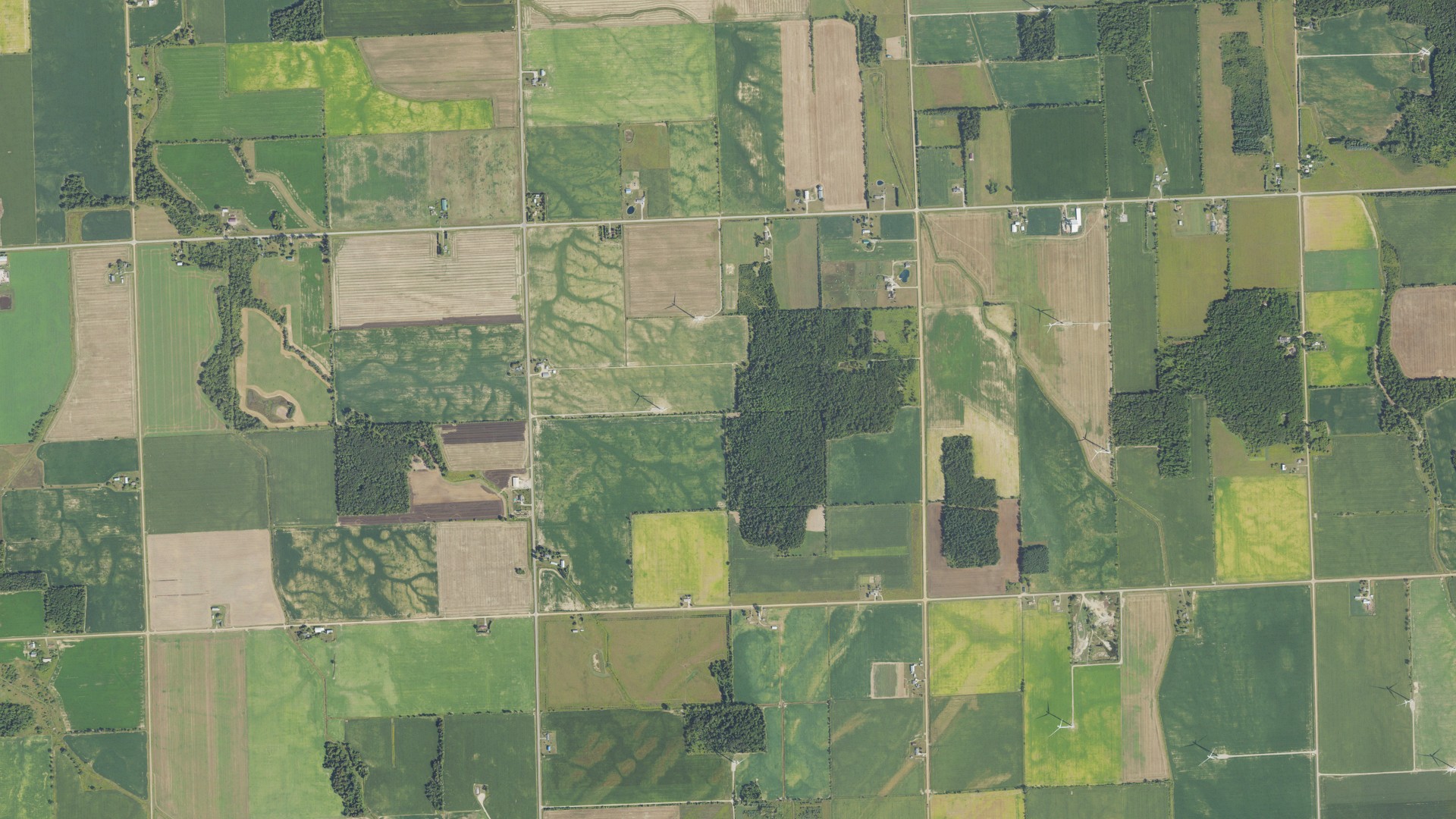 Natural-color aerial photograph of land around Dwight, Michigan