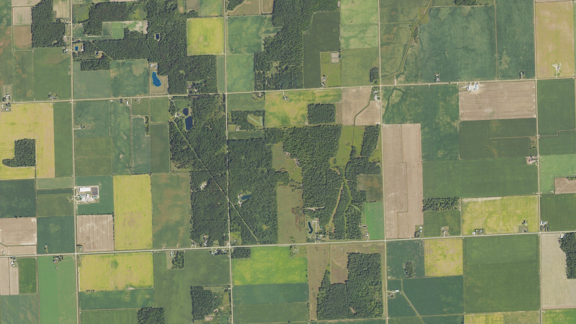 Natural-color aerial photograph of land around Lincoln, Michigan