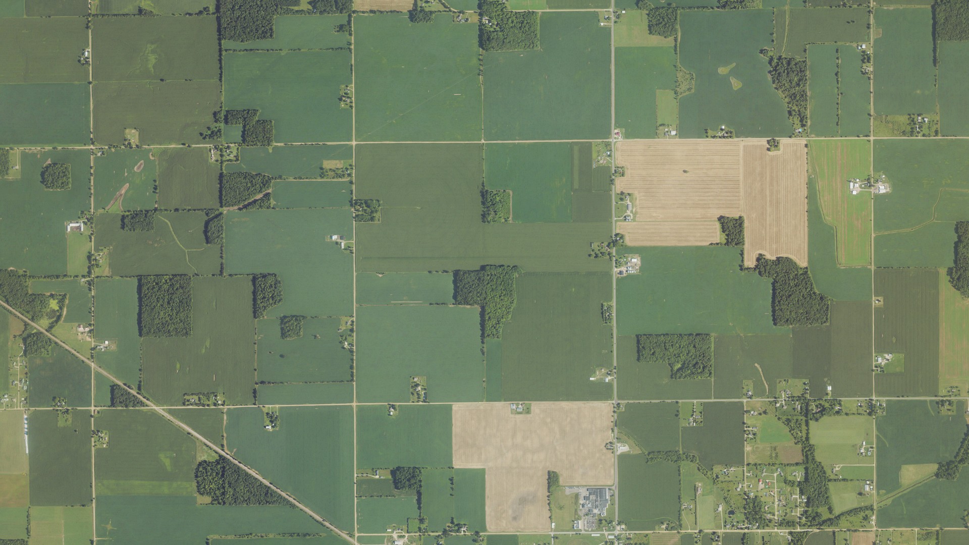 Natural-color aerial photograph of land around Odessa, Michigan