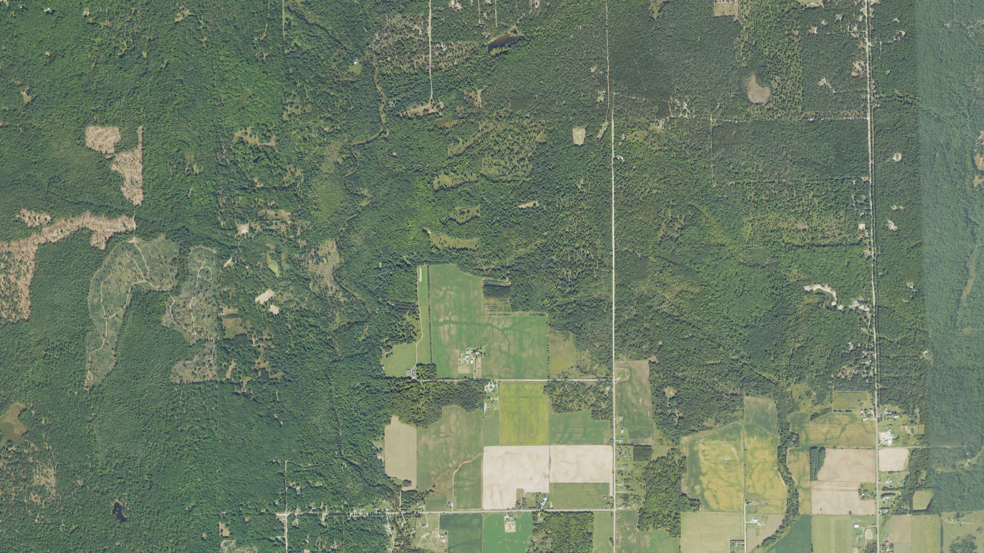 Natural-color aerial photograph of land around Grant, Michigan