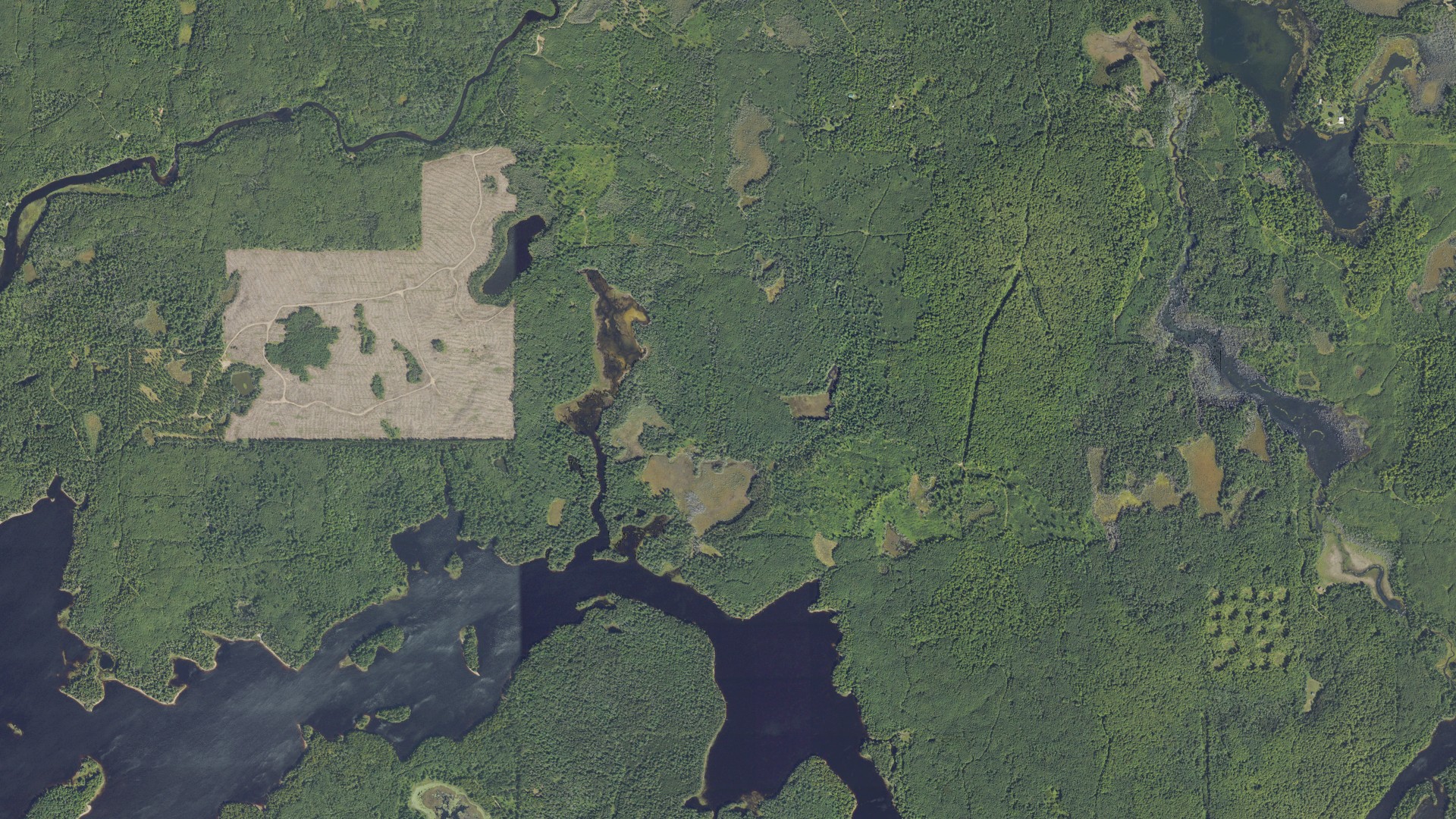 Natural-color aerial photograph of land around Mansfield, Michigan