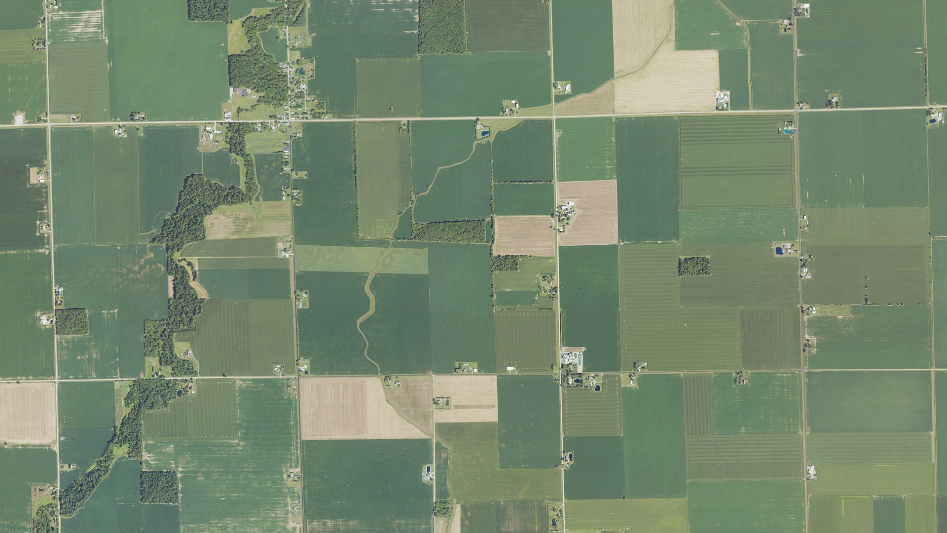 Natural-color aerial photograph of land around Ogden, Michigan