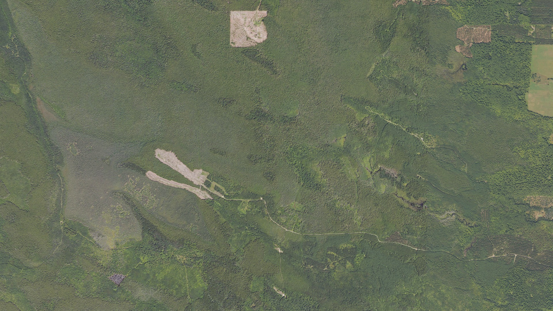 Aerial view of land around Newton, Michigan