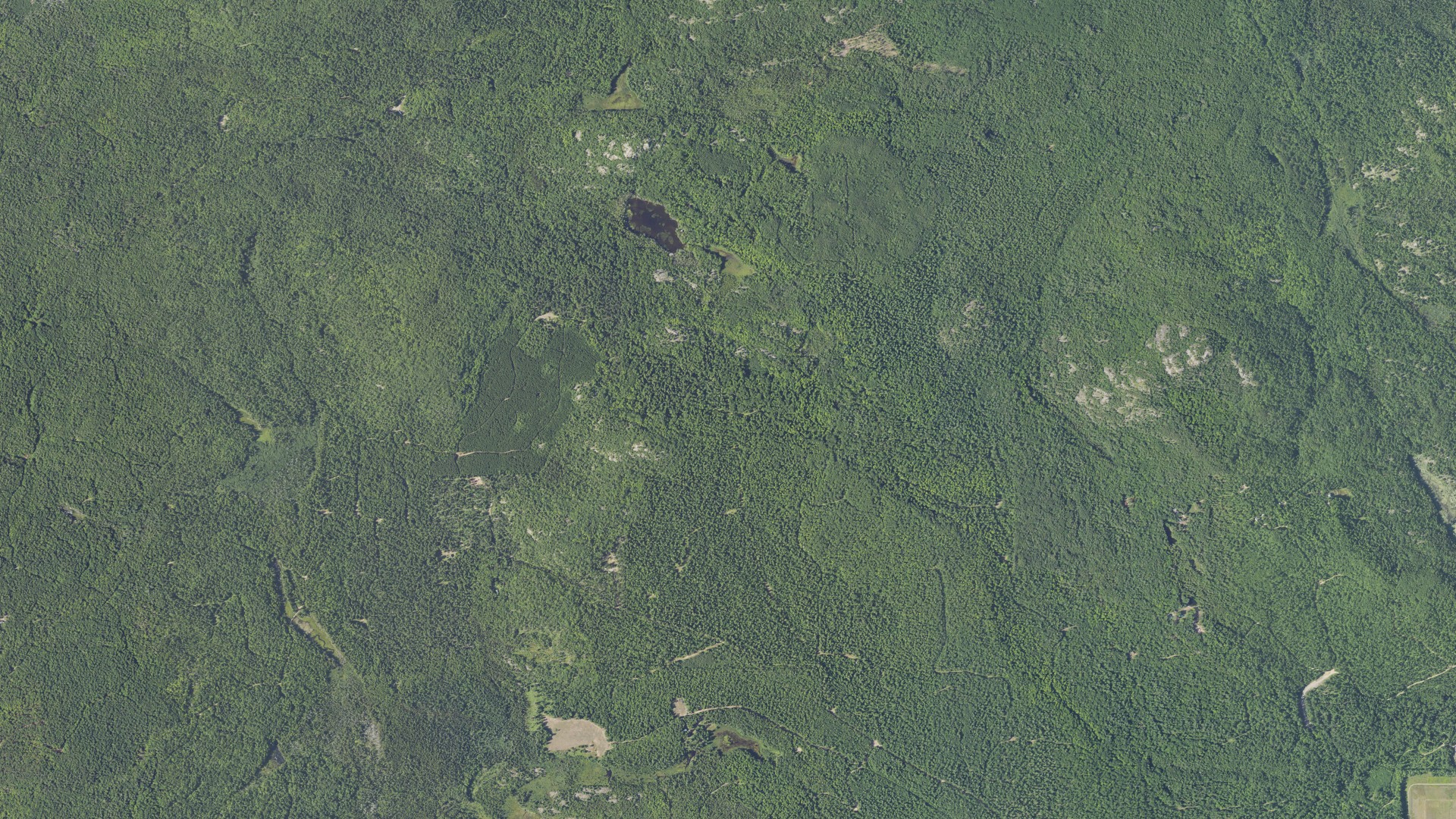 Aerial view of land around Marquette charter, Michigan