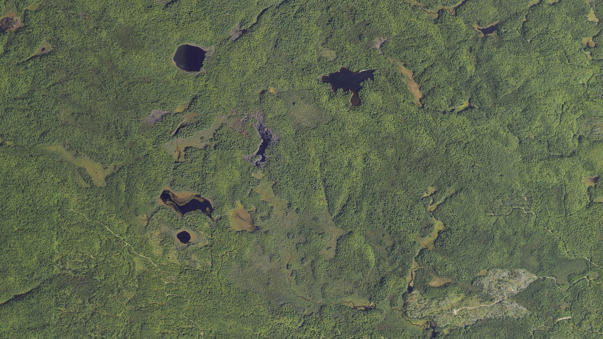 Natural-color aerial photograph of land around Michigamme, Michigan