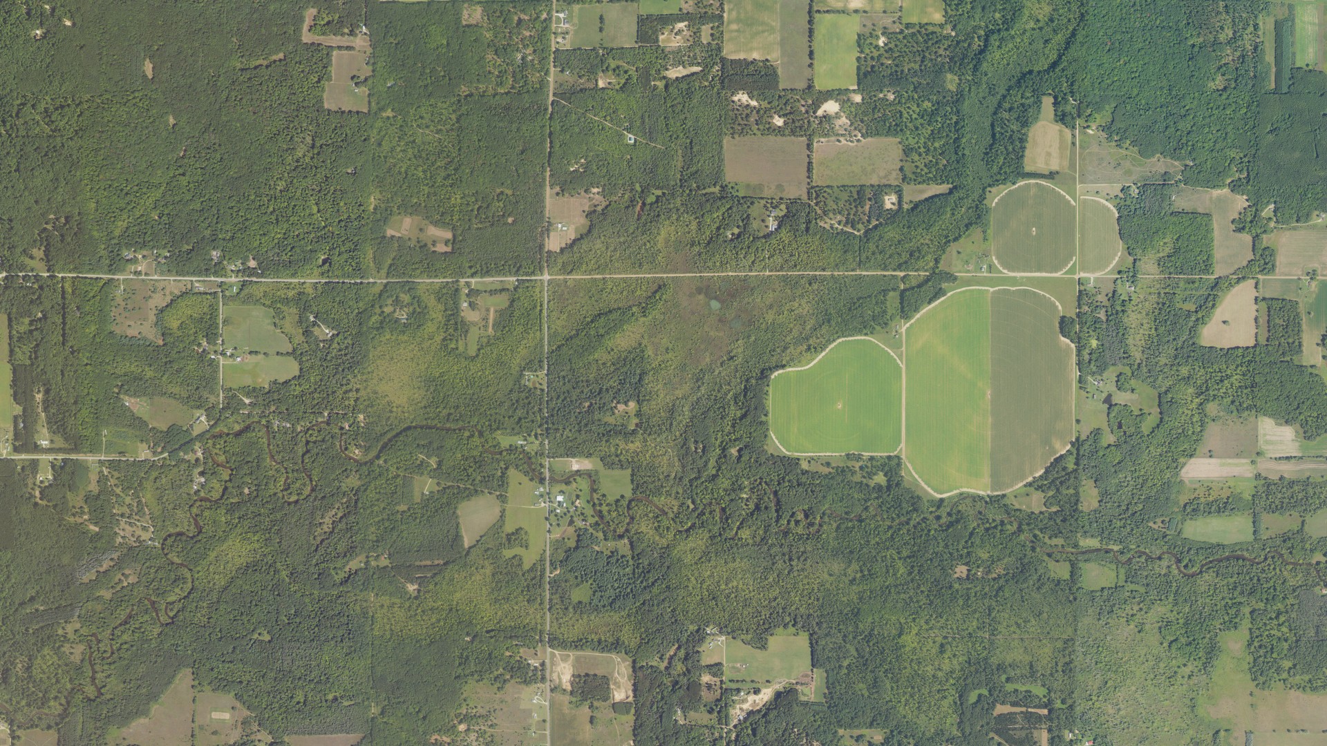 Aerial view of land around Deerfield, Michigan