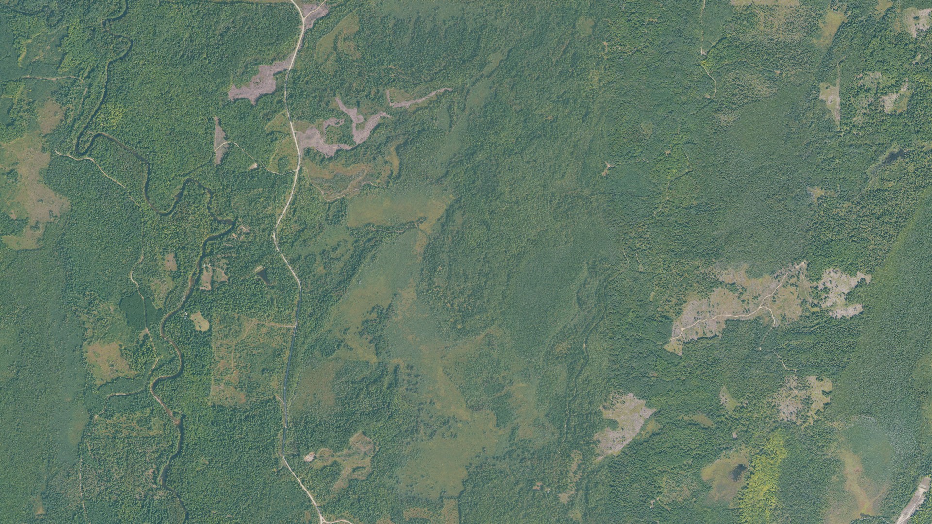 Natural-color aerial photograph of land around Cedarville, Michigan