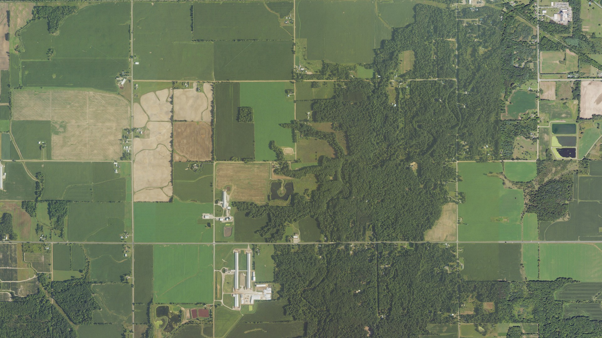 Natural-color aerial photograph of land around Ravenna, Michigan